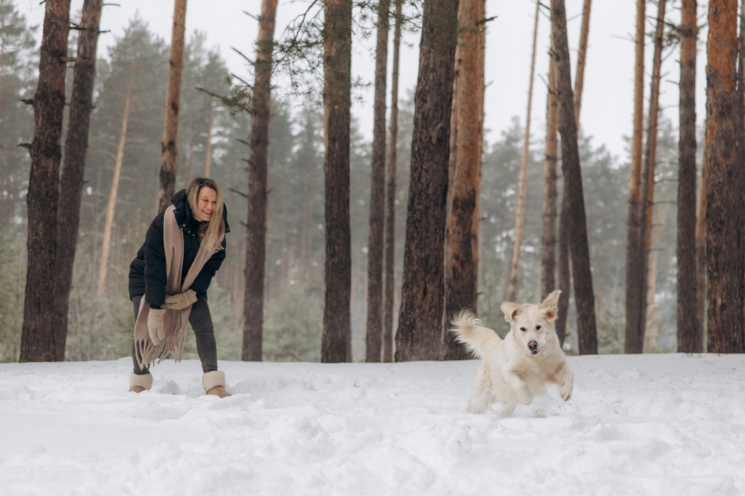 Зима. Лес. Татьяна и Делла. Фотограф анималист в Казани Алина Сулейманова. Фотограф животных