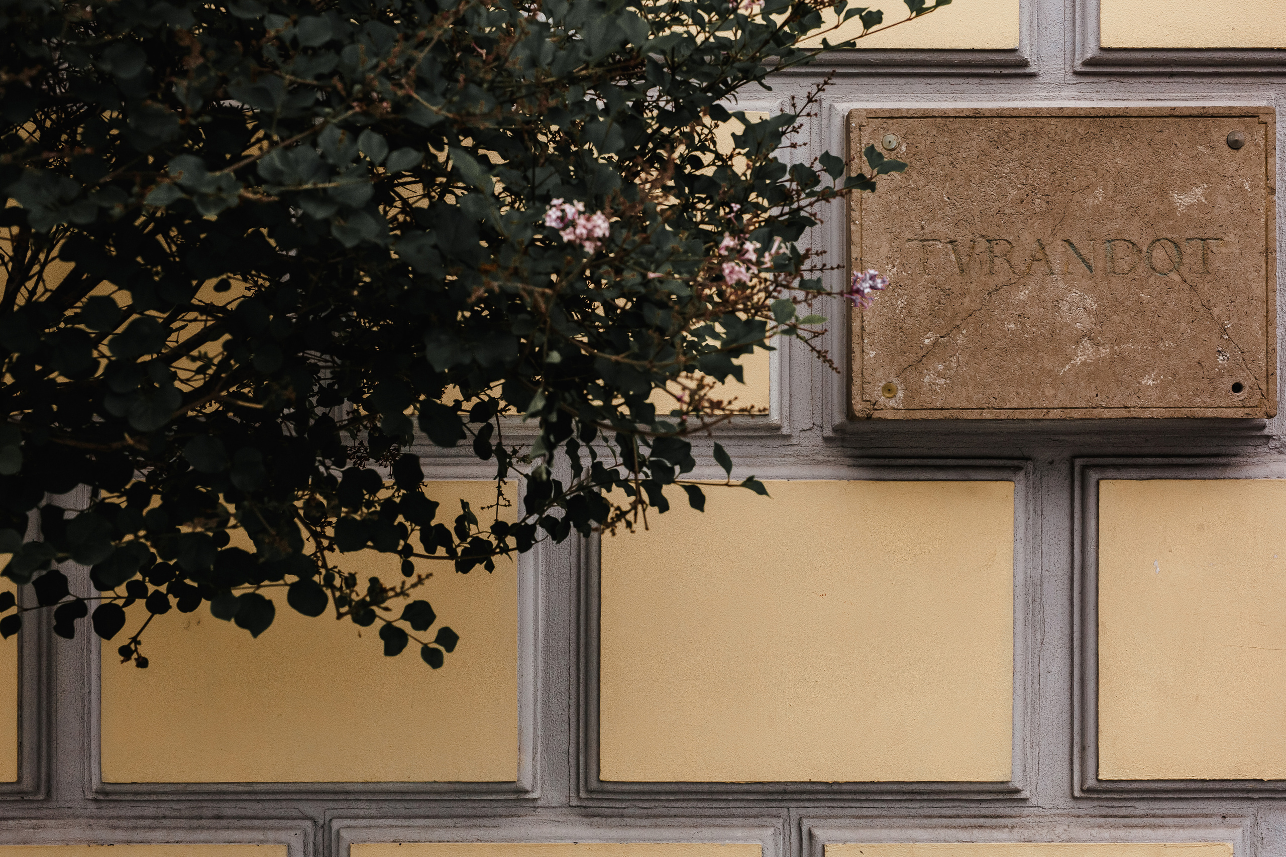 Свадебная фотосессия в турандоте. Фотограф Евгений Меркулов