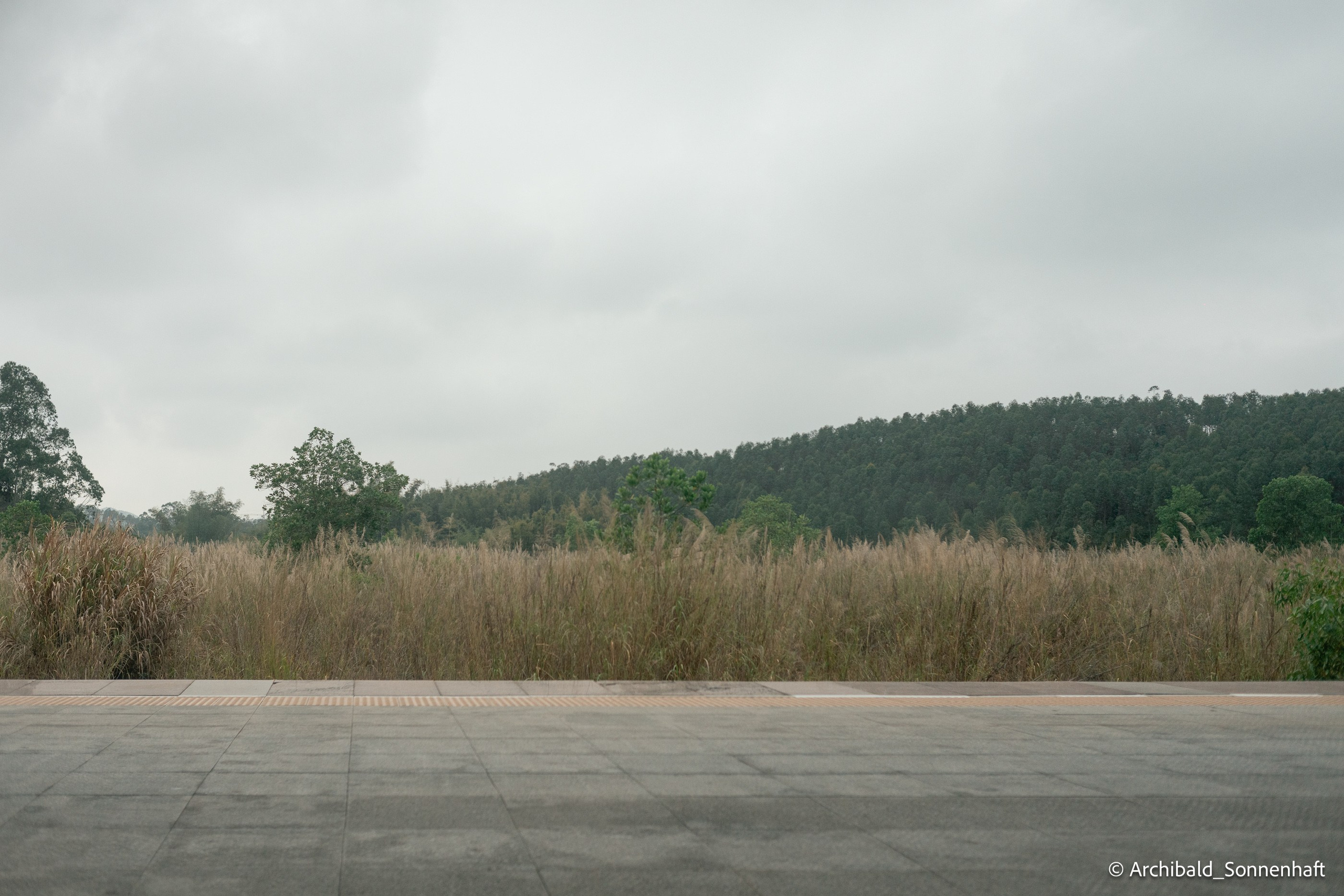 Diaolou in Kaiping. Photographer in Guangzhou, China. Archibald Sonnenhaft