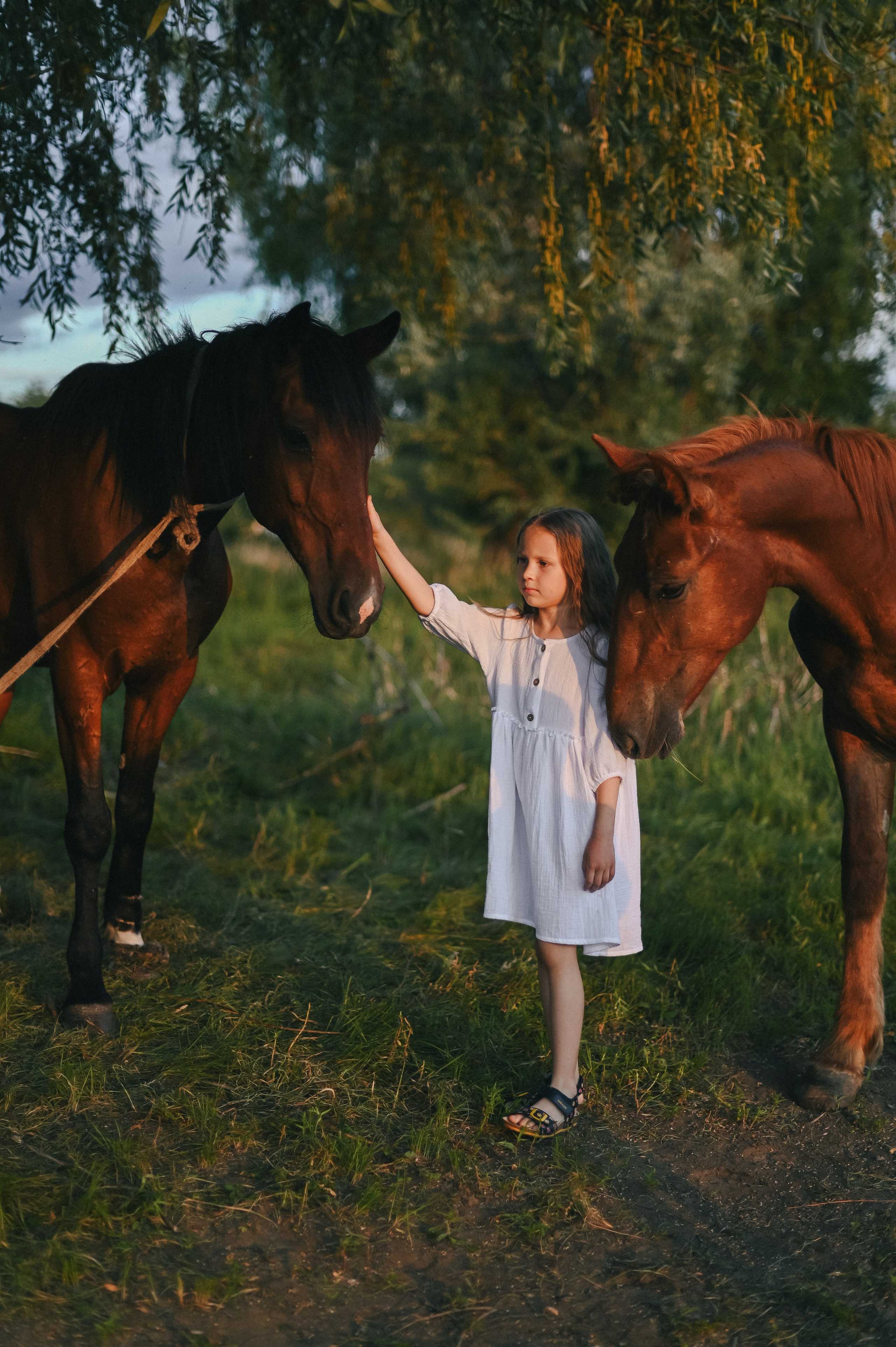 Дима, Маша, Полина, Саша и Настя. Свадебный и семейный фотограф Волгоград Москва