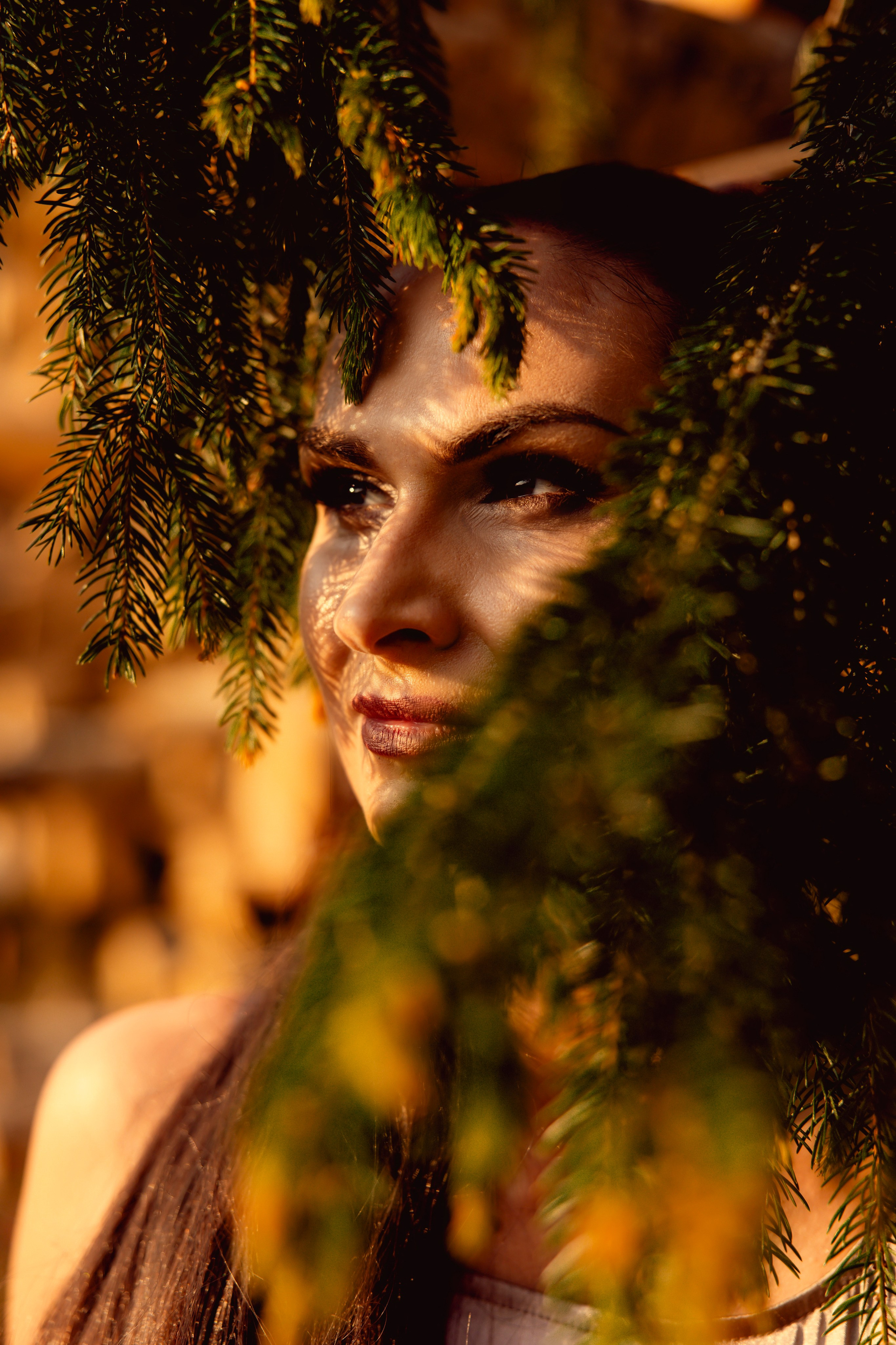 Древесные узоры. Сказочный фотограф для Вас и Вашей семьи