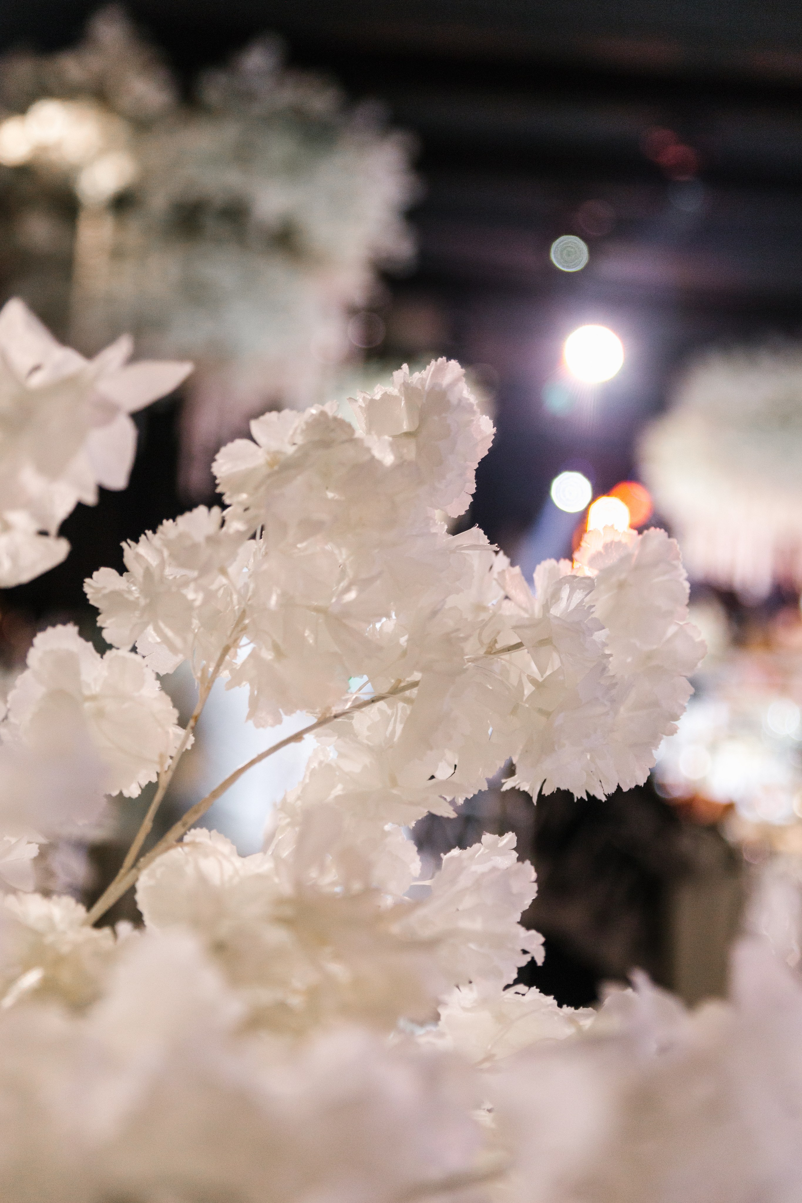 Второй день свадьбы Валерий и Виктория. Свадебный фотограф в Пятигорске и КМВ Софья Аджикеримова