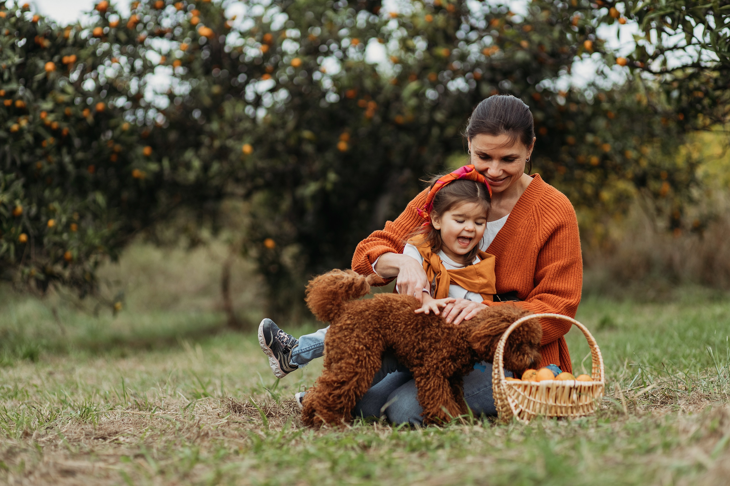 Мандариновая роща. Фотограф Сочи Татьяна Зорина