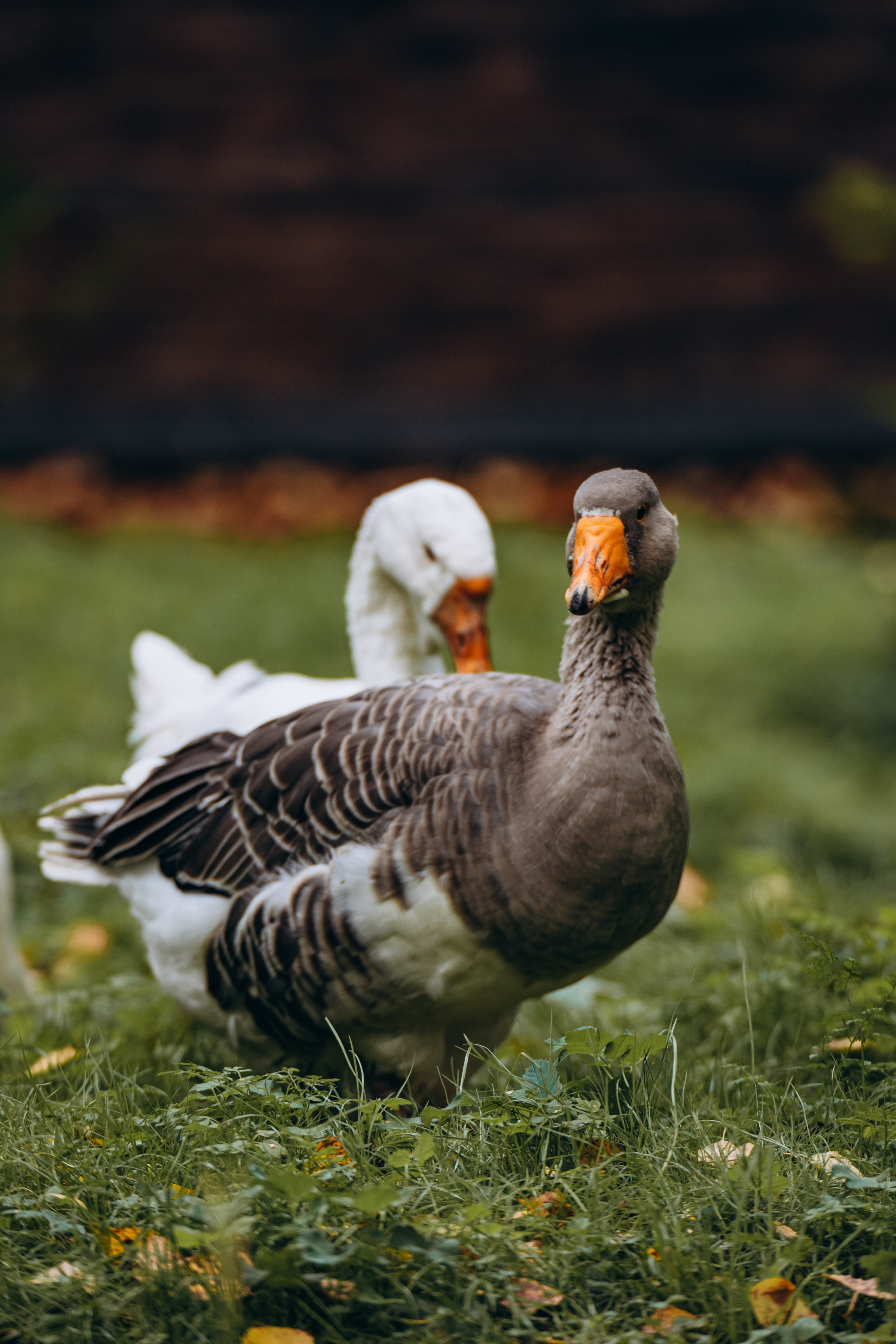 СЕВЕР. Event фотограф Степанова Александра