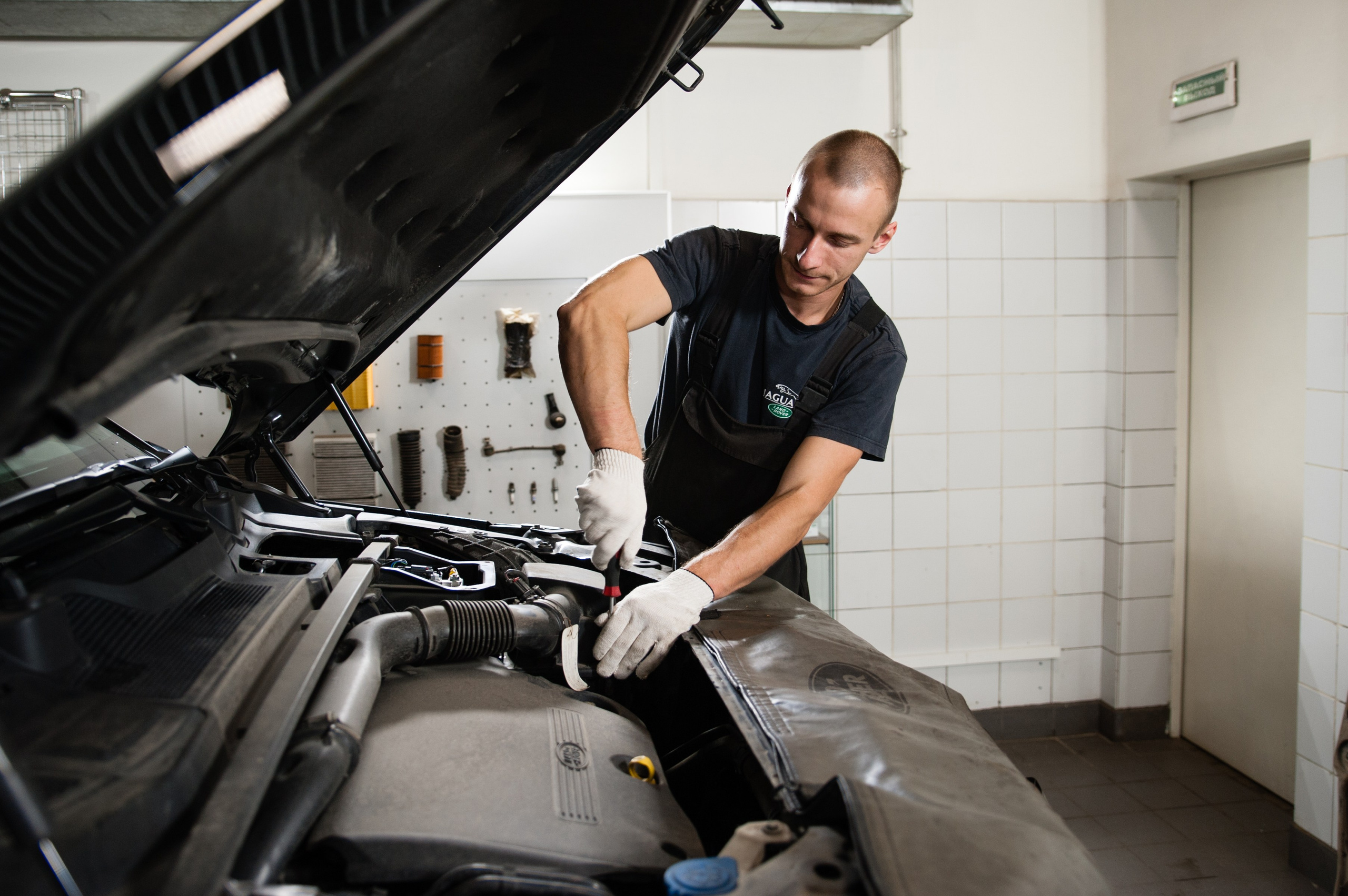 Артекс. Профессиональный фотограф в Москве Александра Харламова