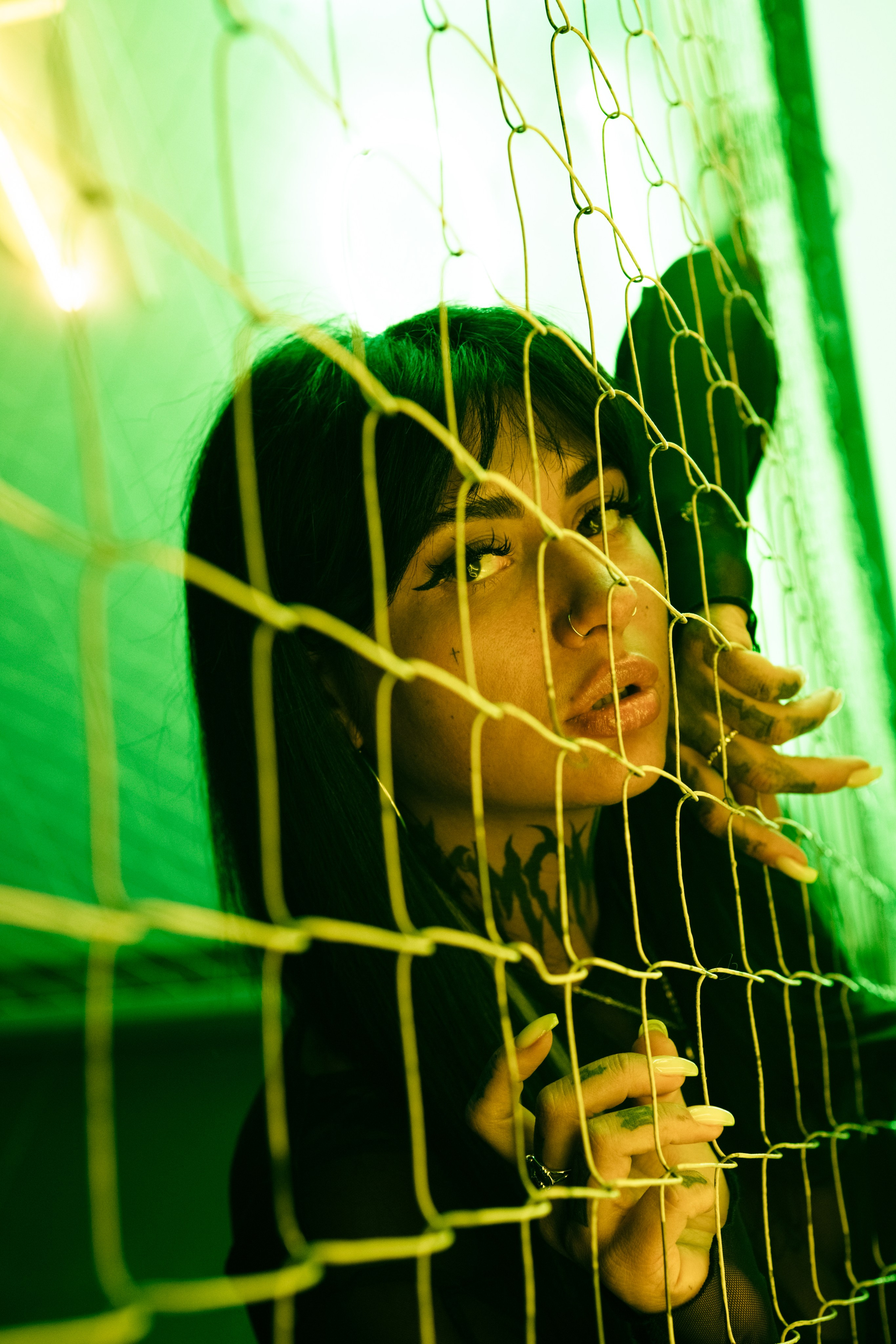 Molotov Photographer