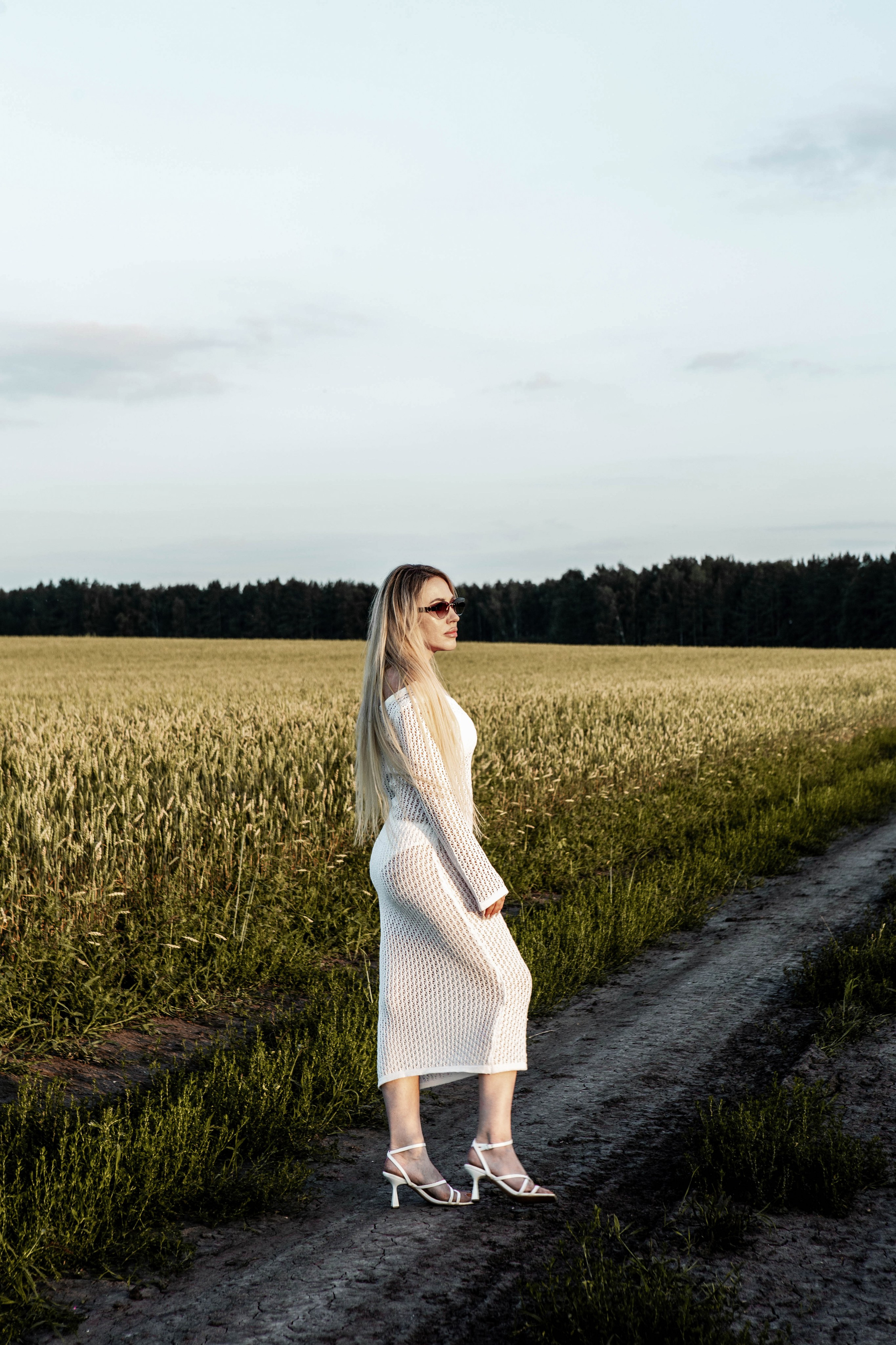 Ромашки. Фотограф Екатерина Голицына