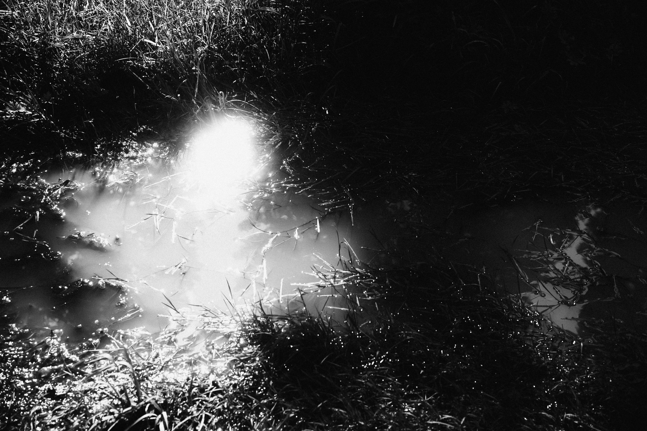 Ишим (Кемеровская область). Veronika Popadeikina Photographer