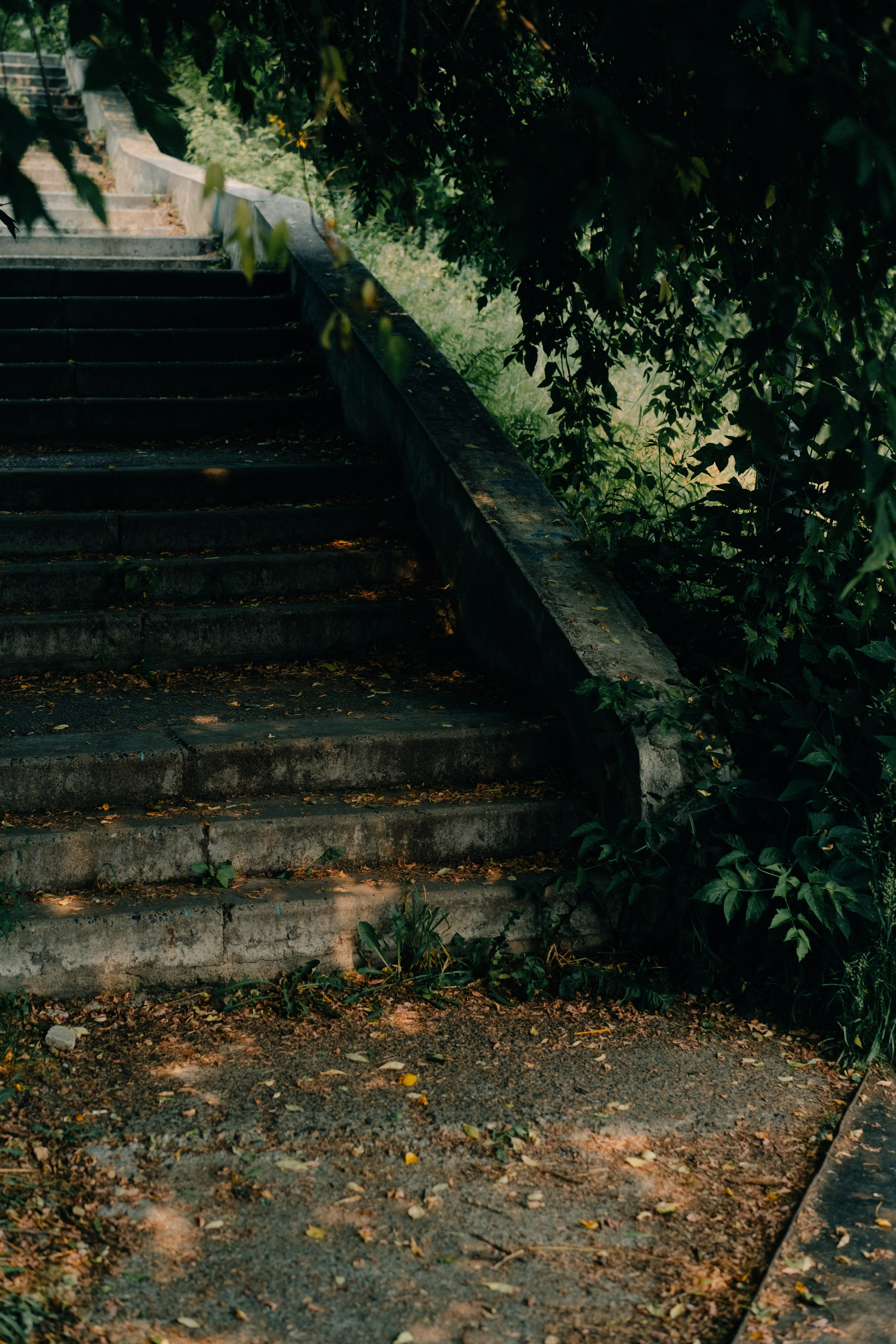 Лагерный сад, Томск. Veronika Popadeikina Photographer