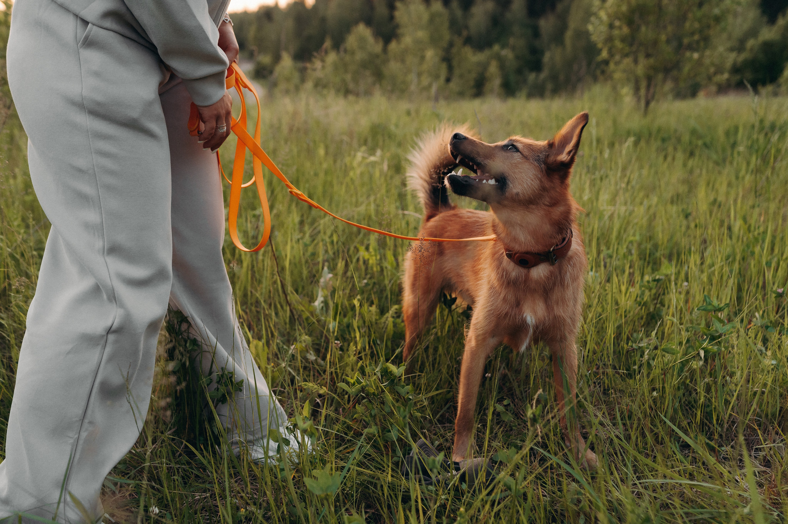 Яна и Санька. Главная