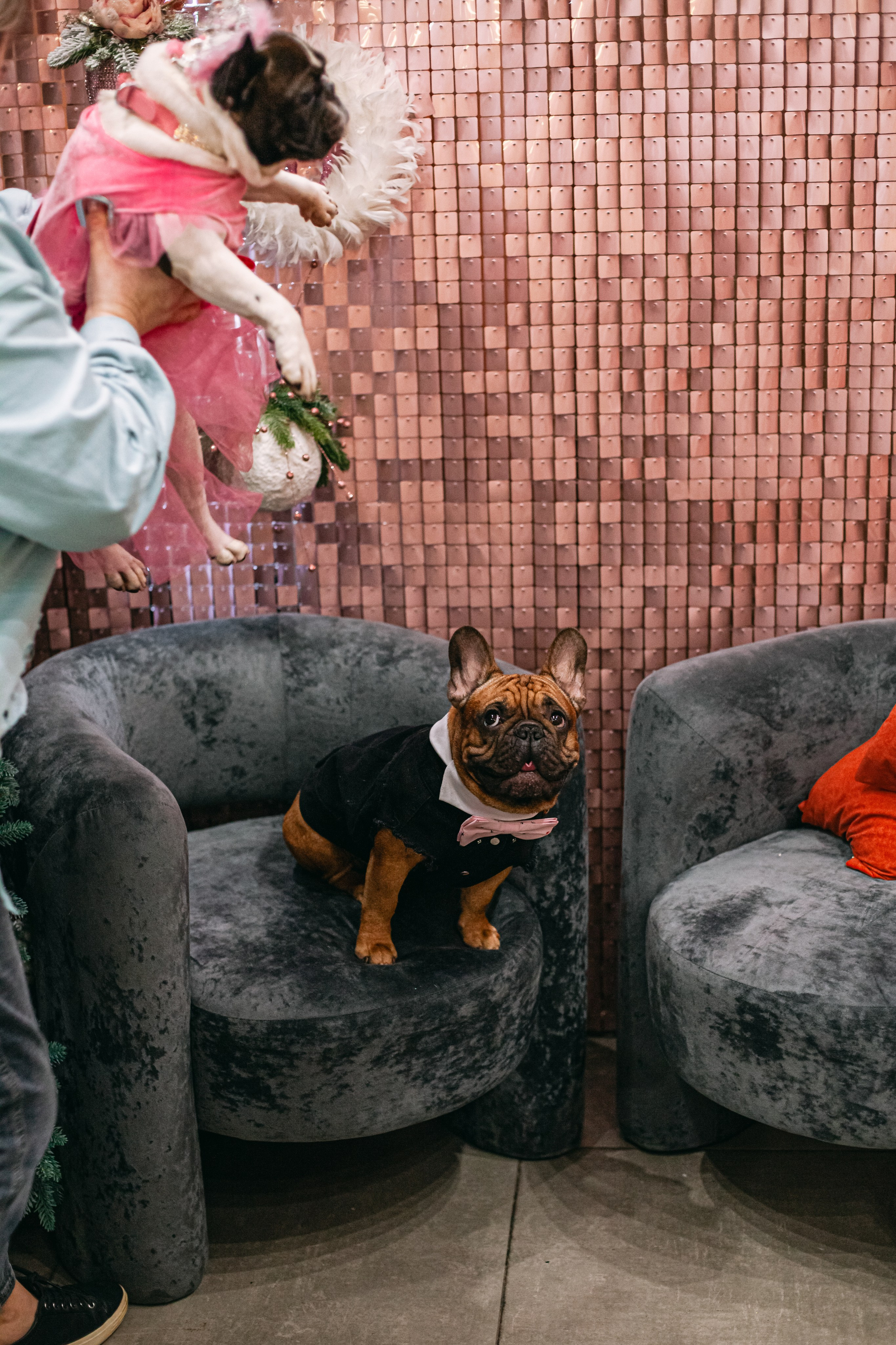 Бульёлка 2024. Фотограф-анималист Татьяна Степанова