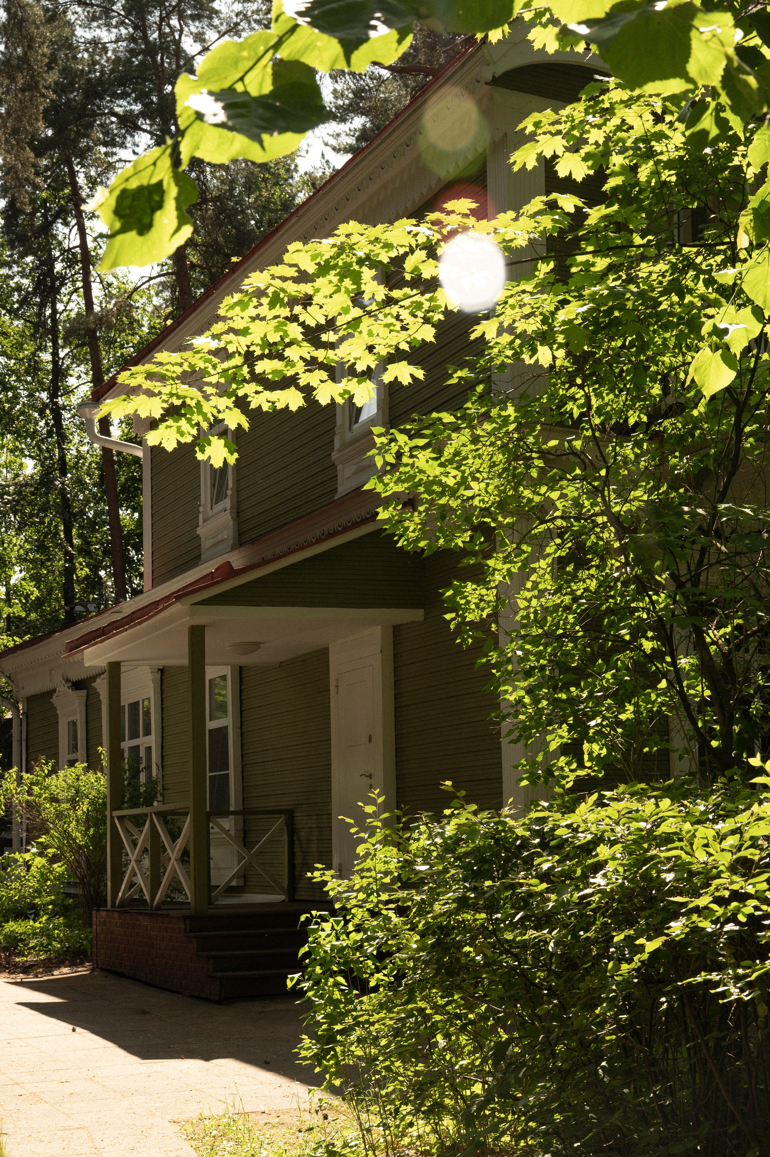 Наше лето. Фотограф Евгения Пронькина