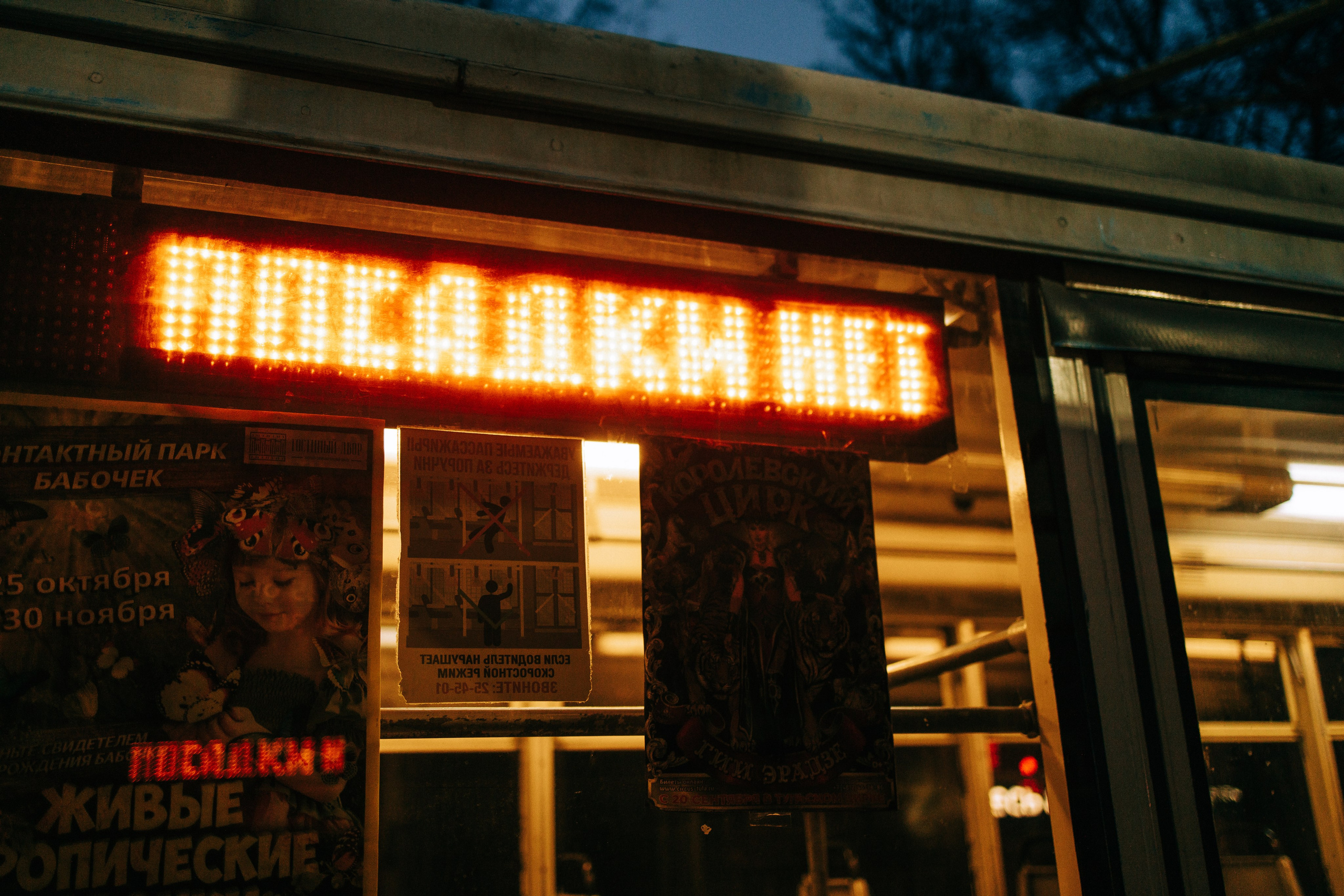 Вечерний ноябрь. Свадебный и семейный фотограф в Туле и области Маша Костина