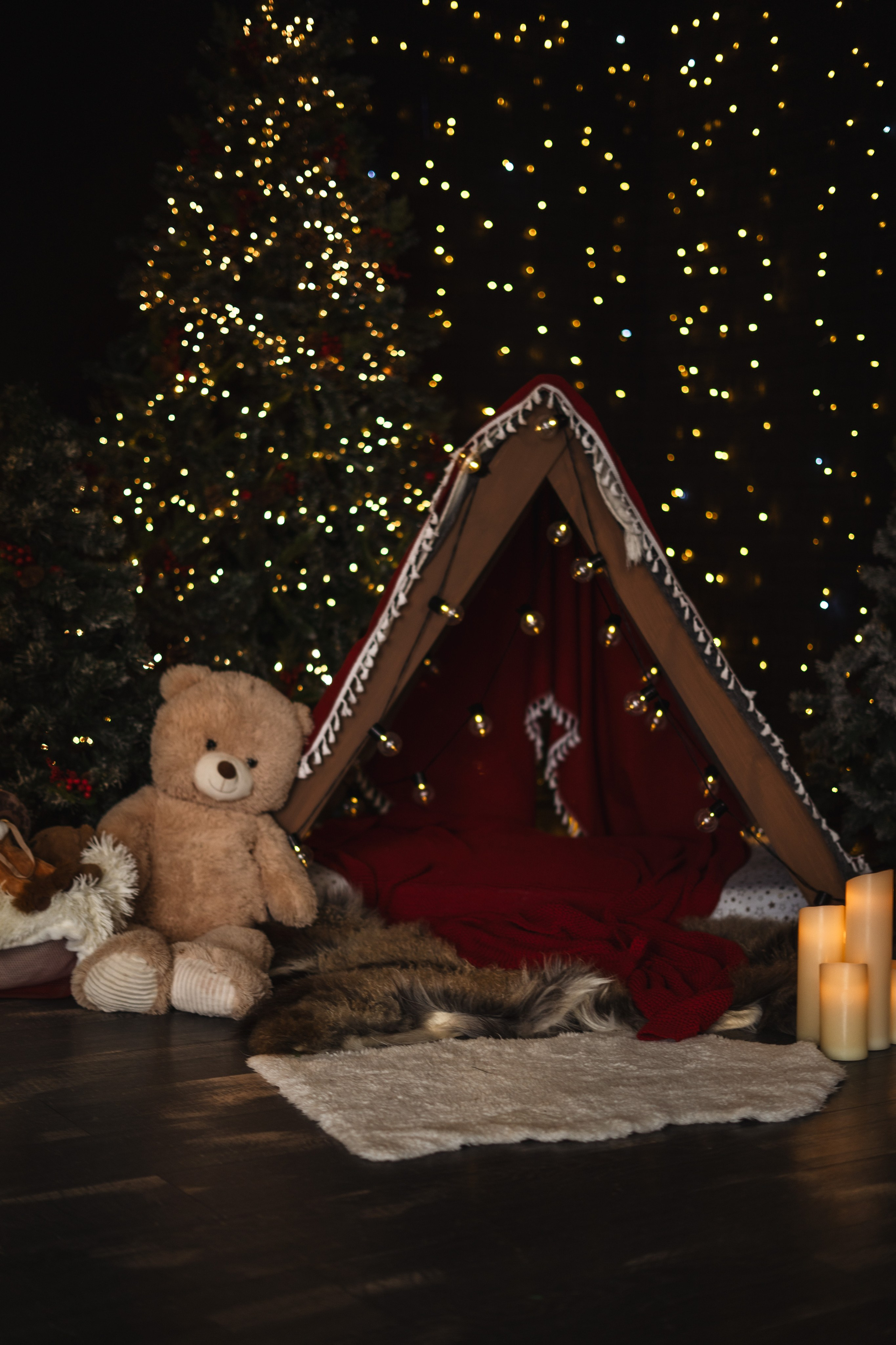 Фотостудия Алекскам Новый год 2026