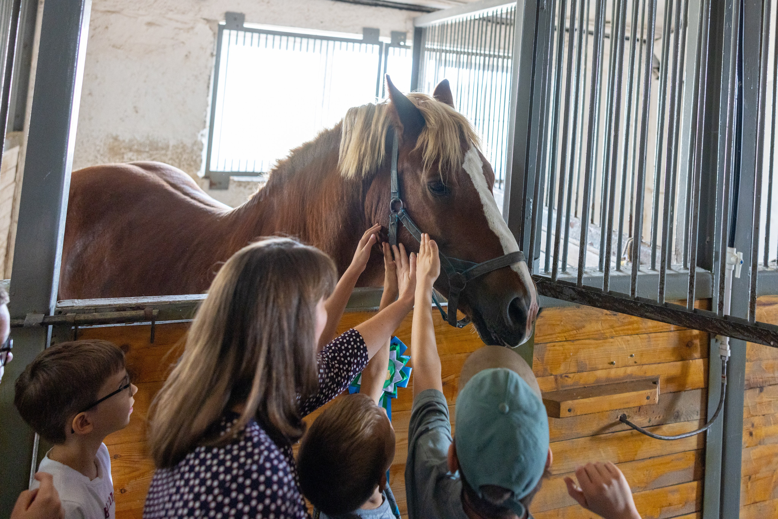 Поездка на поле Кулеково. Фотограф в Туле Крупский АнДРей. Фотостудия «КАДР71» в Туле