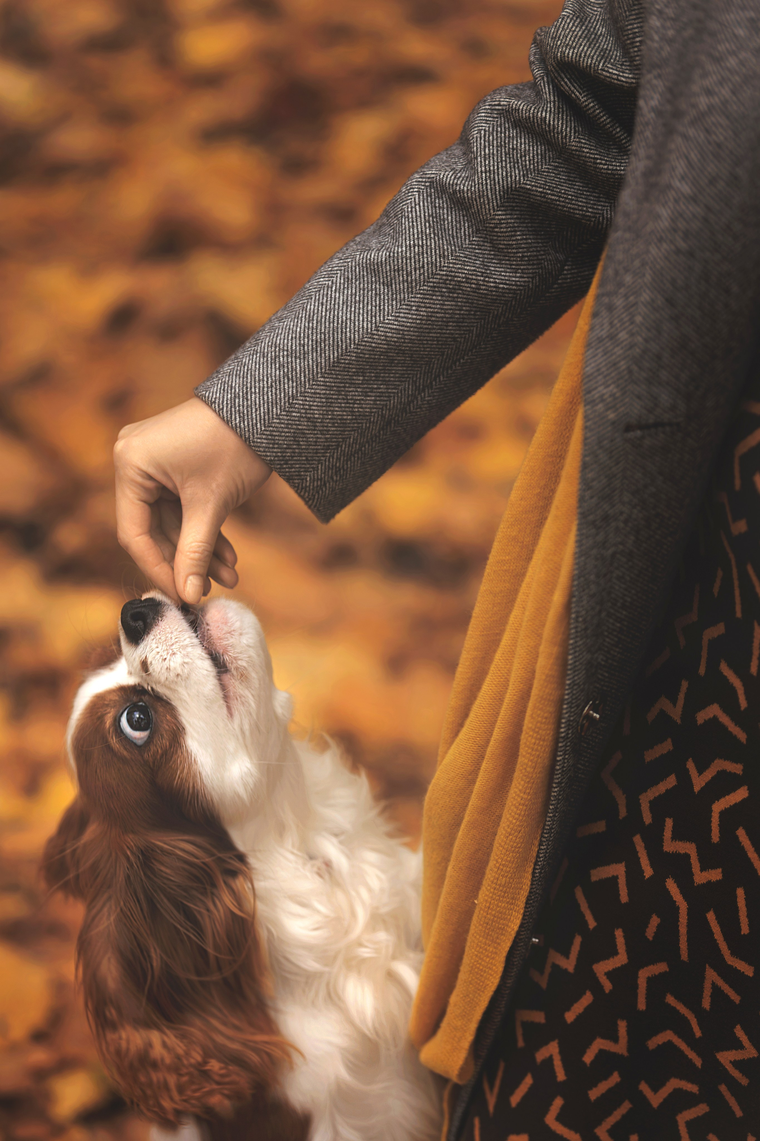Кристина и Марсель. Куценкова Александра — детский, семейный фотограф в Москве