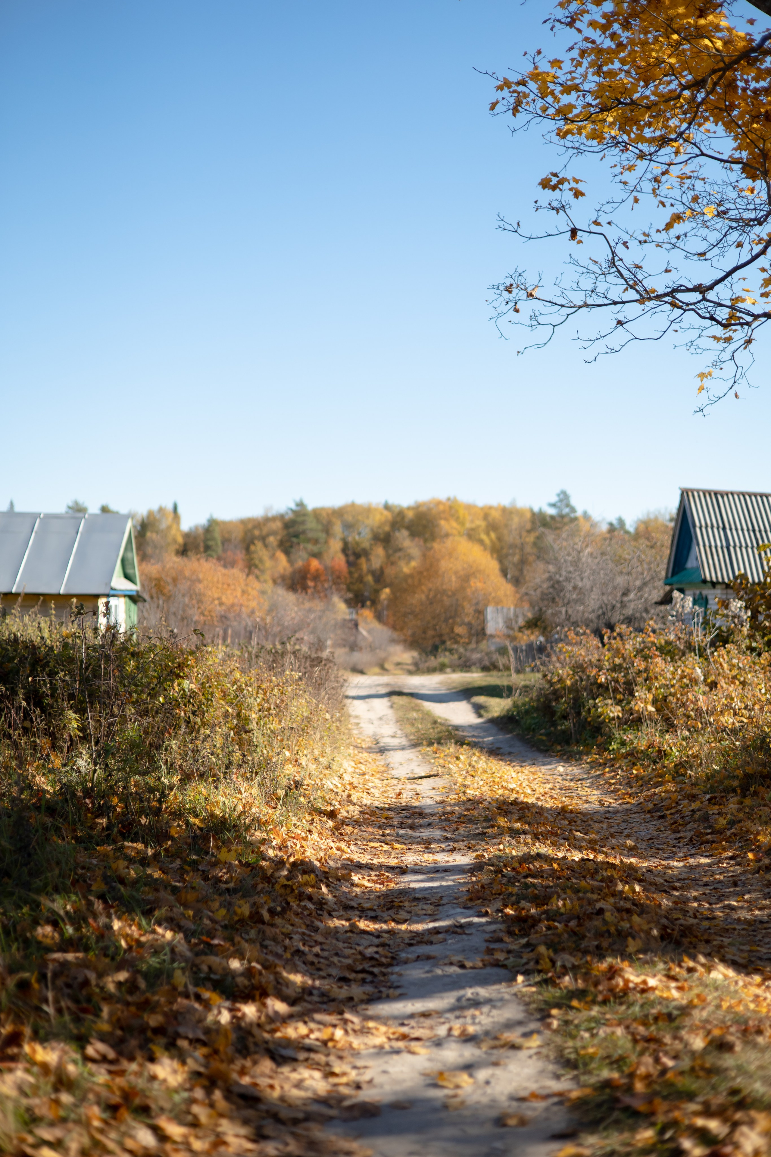 ТАТЬЯНА. Фотограф Элла Ефимова