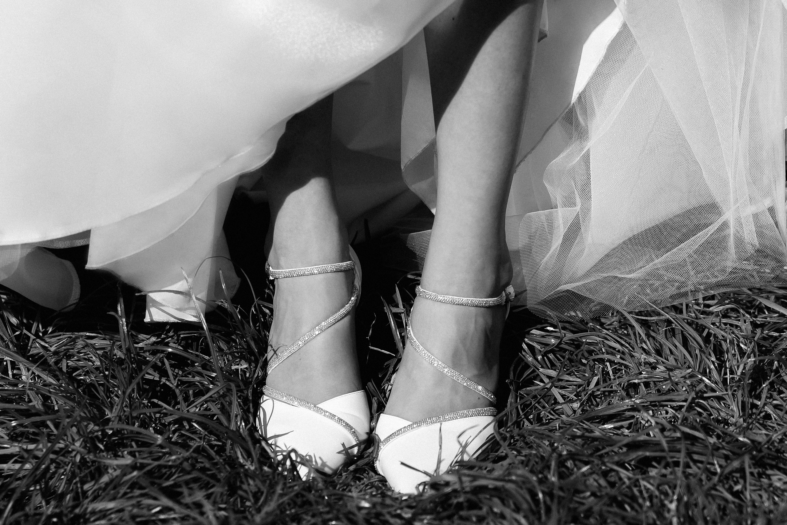 Forest. Wedding. Love | 16.08.2025. Главная