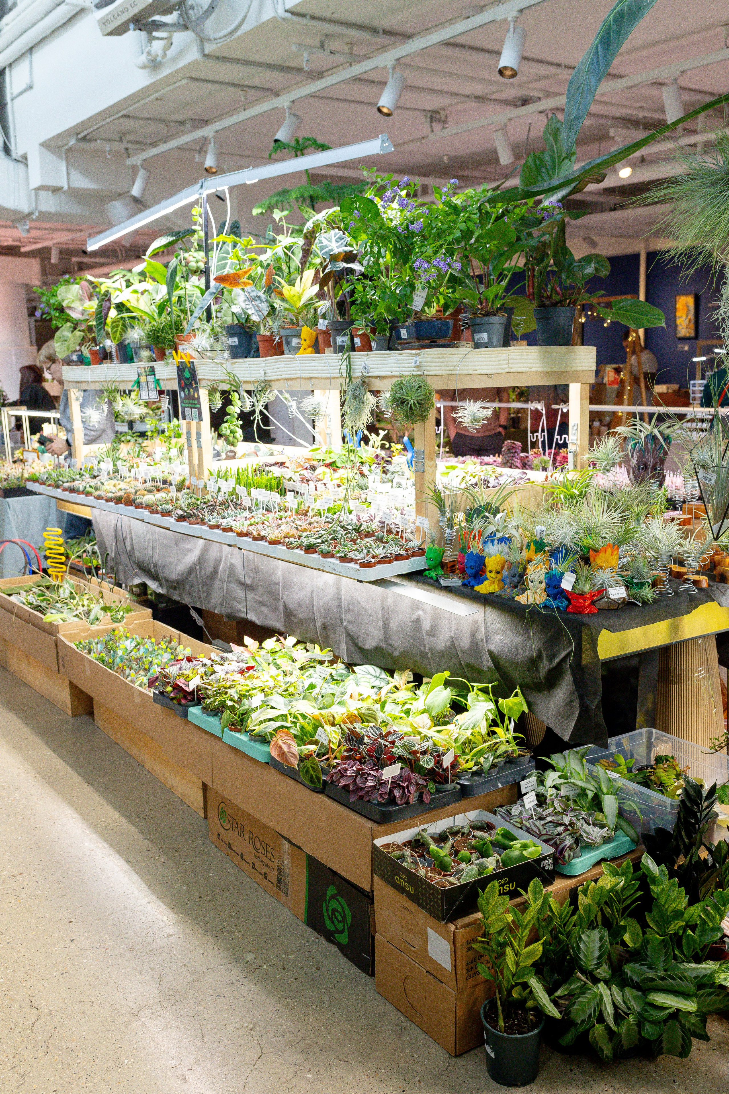 Growbox 1–2 марта. Александра Куликова фотограф, Москва