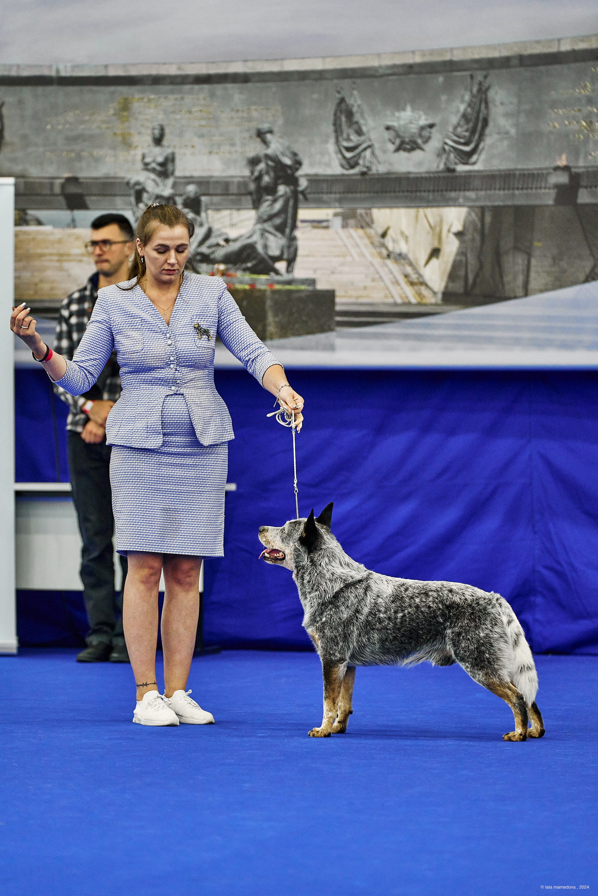 РЕЙТИНГОВАЯ ВЫСТАВКА СОБАК ВСЕХ ПОРОД С ОСОБЫМ СТАТУСОМ"НЕВСКИЙ ПОБЕДИТЕЛЬ-2024-2"