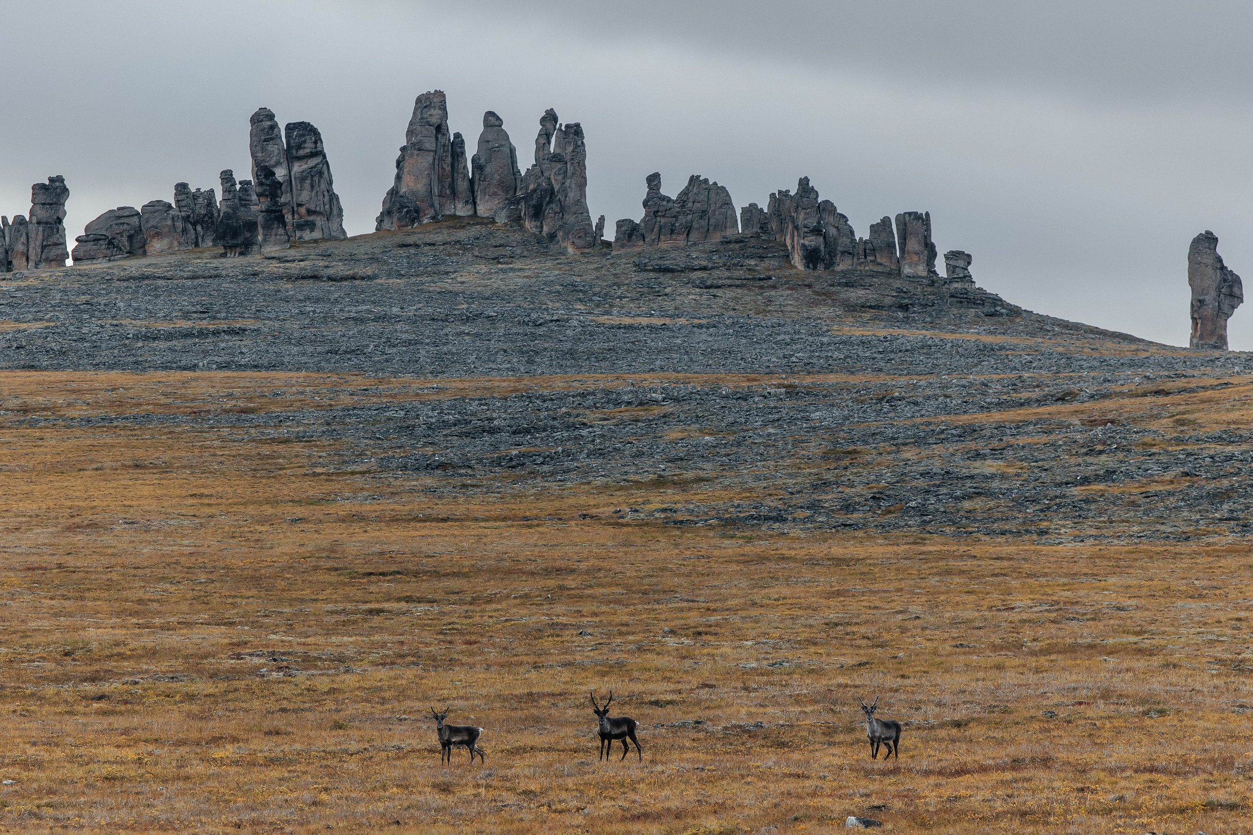 ПЕЙЗАЖ И ЛЮДИ. Саргылана Афанасьева