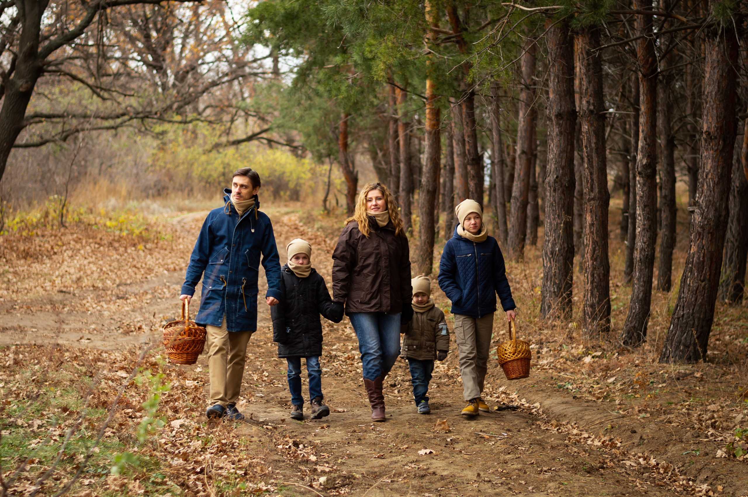 По грибы. Главная