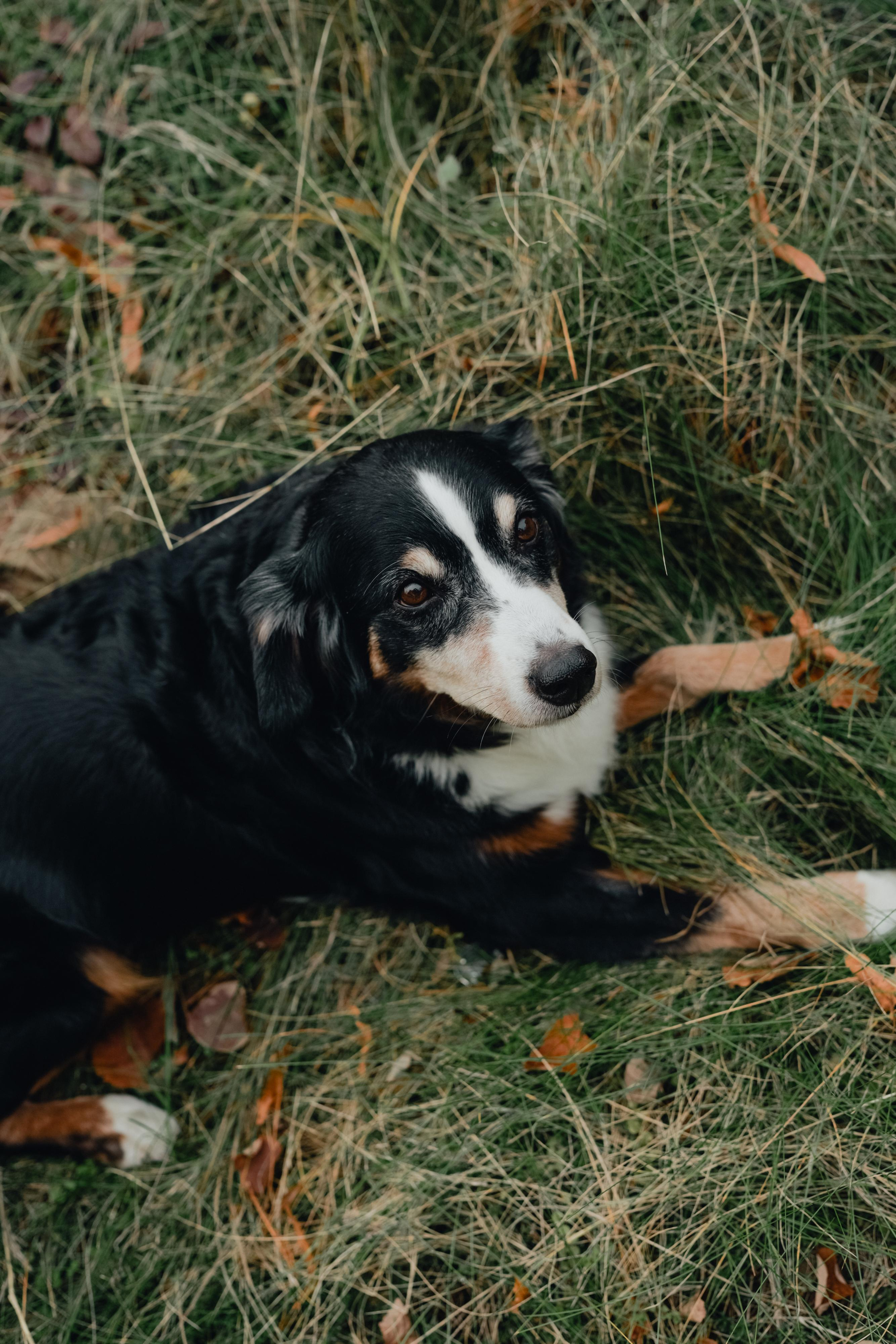 Яблочная Маша. Варвара Синицына: семейный фотограф в Москве