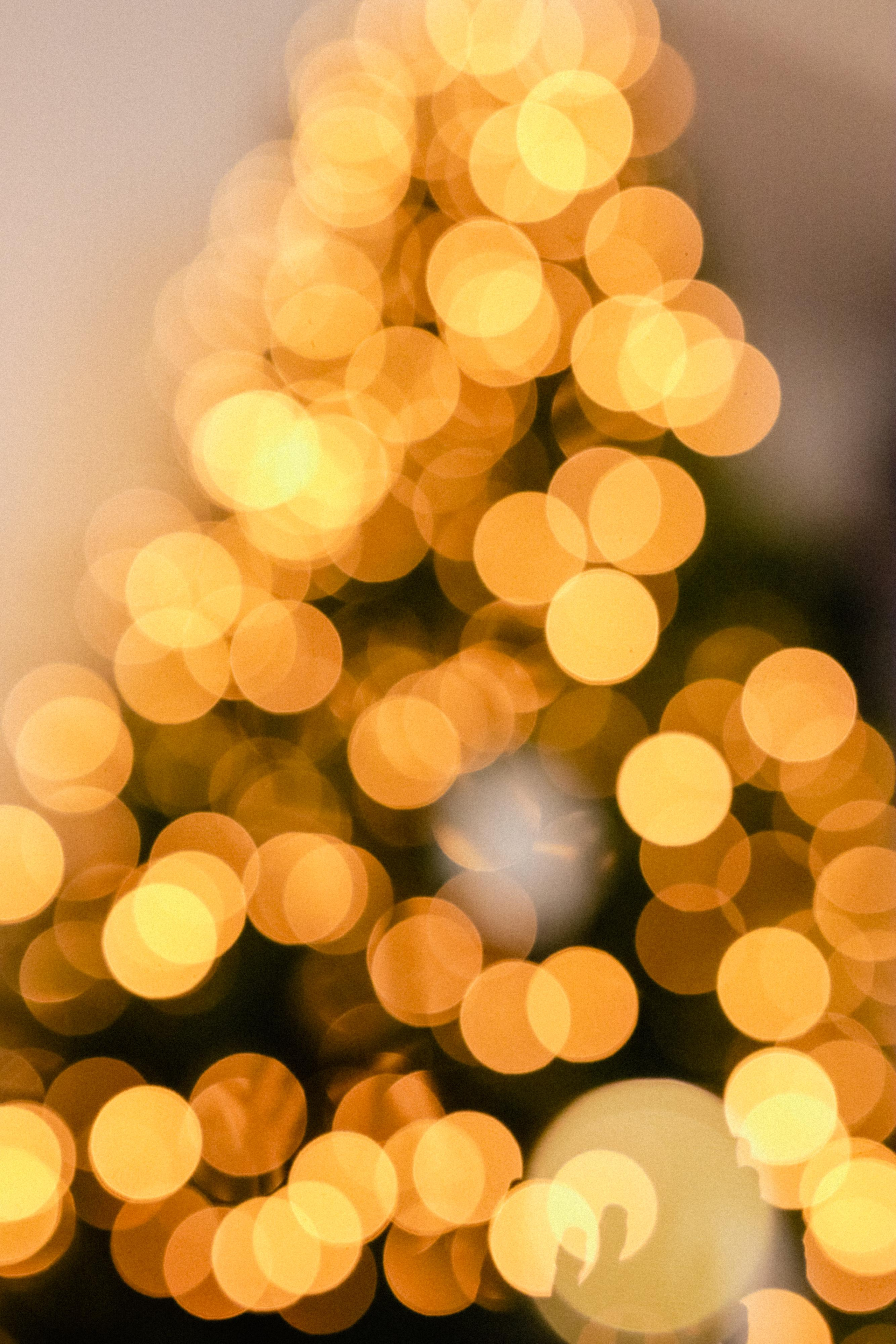 Артем и Ани. Новогодняя история. Варвара Синицына: семейный фотограф в Москве