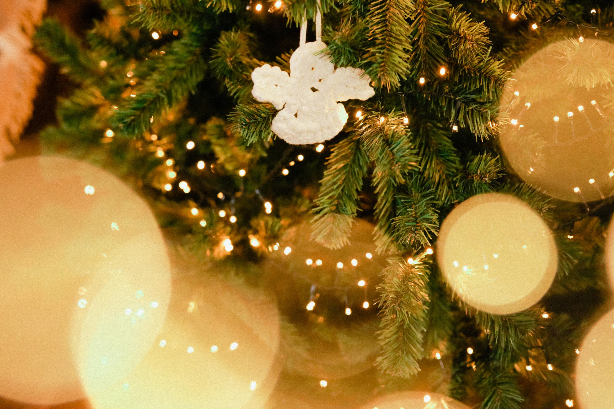 Артем и Ани. Новогодняя история. Варвара Синицына: семейный фотограф в Москве