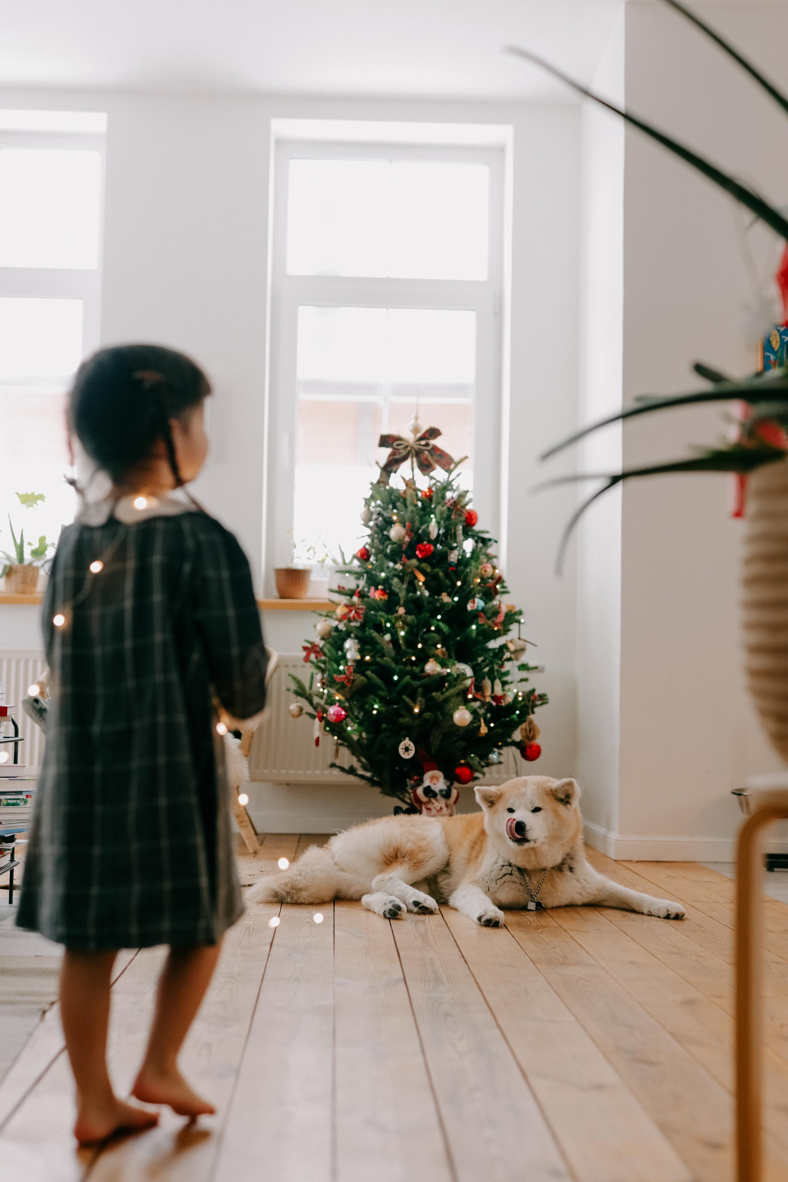 Рождественская история. Варвара Синицына: семейный фотограф в Москве