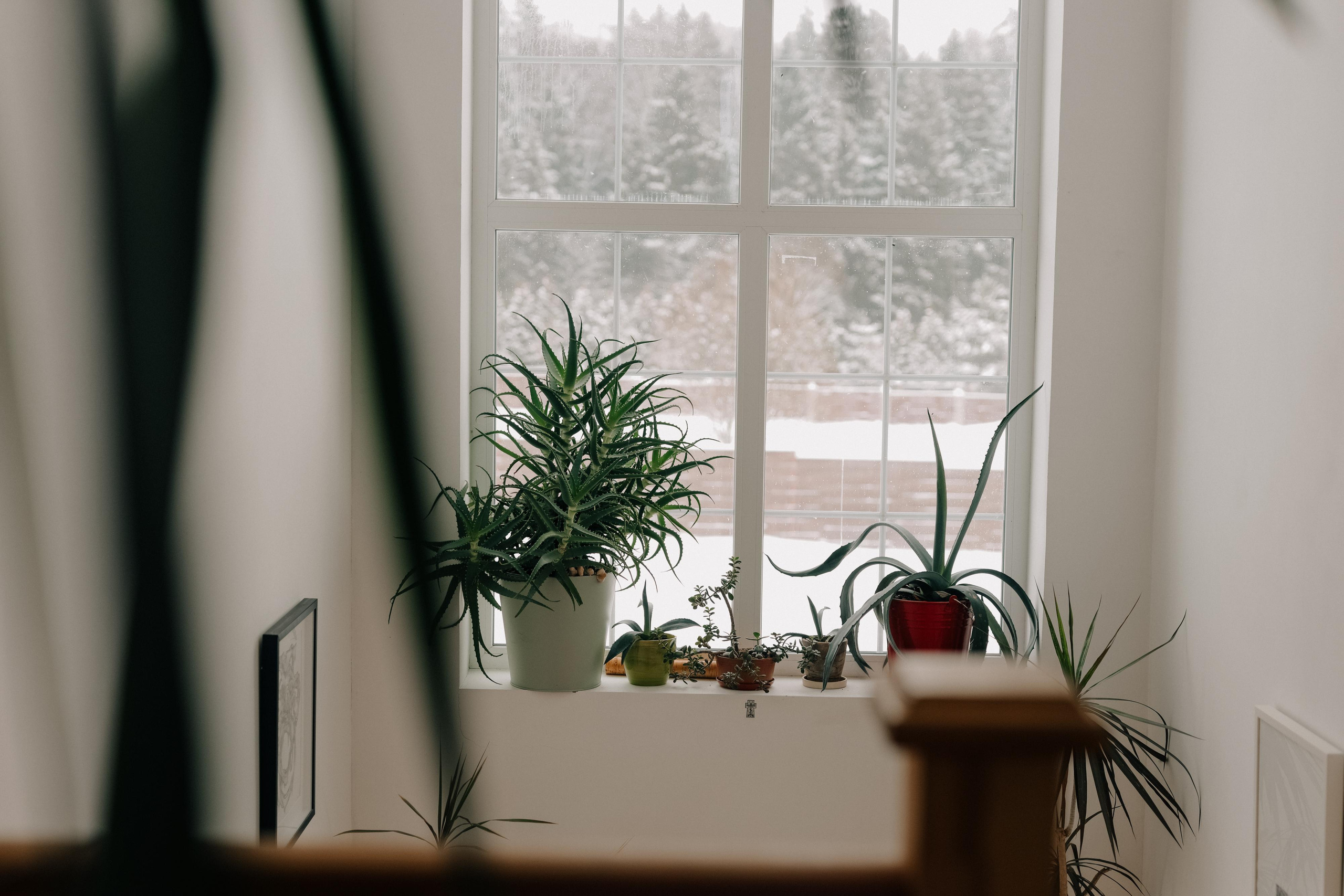 Рождественская история. Варвара Синицына: семейный фотограф в Москве