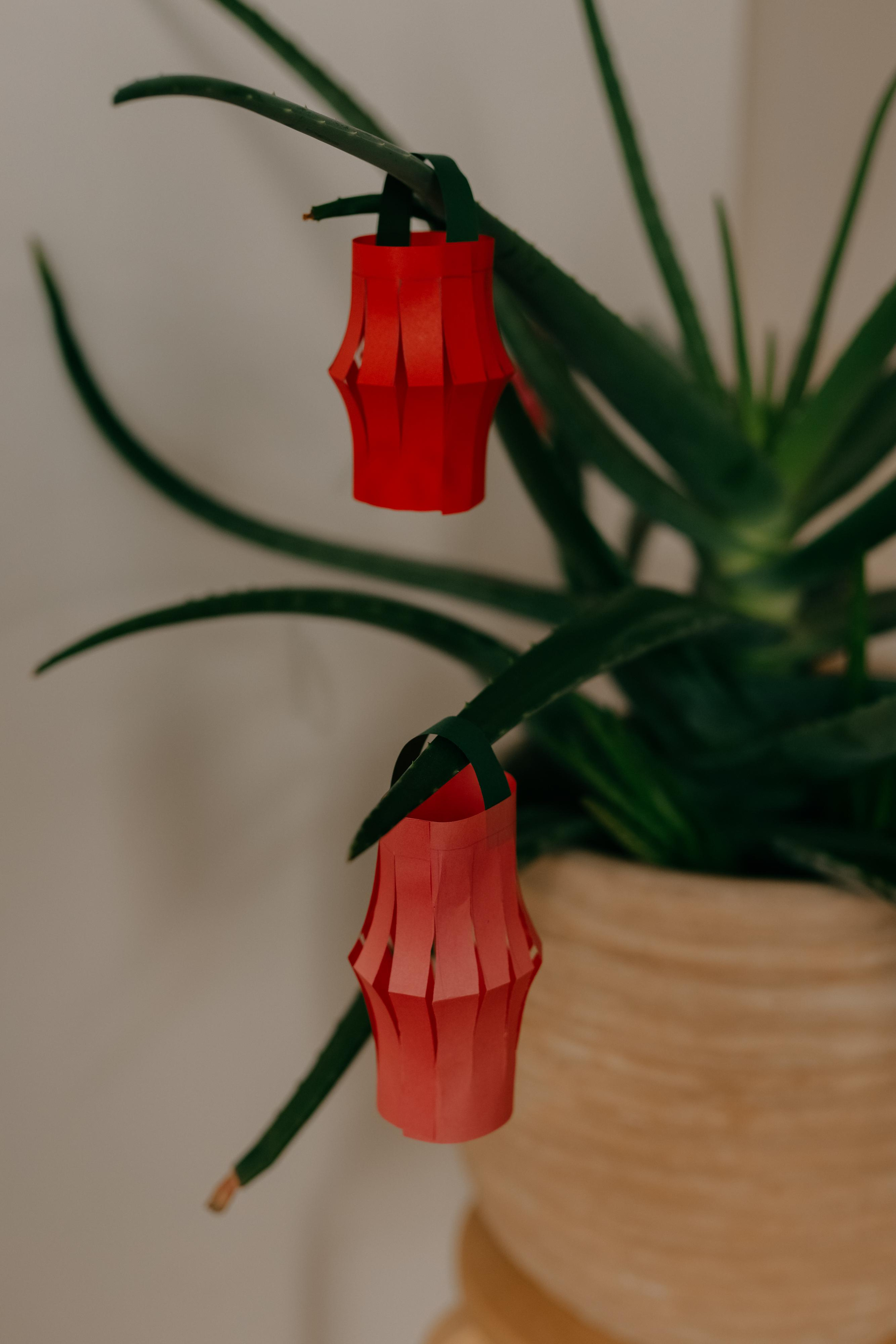 Рождественская история. Варвара Синицына: семейный фотограф в Москве