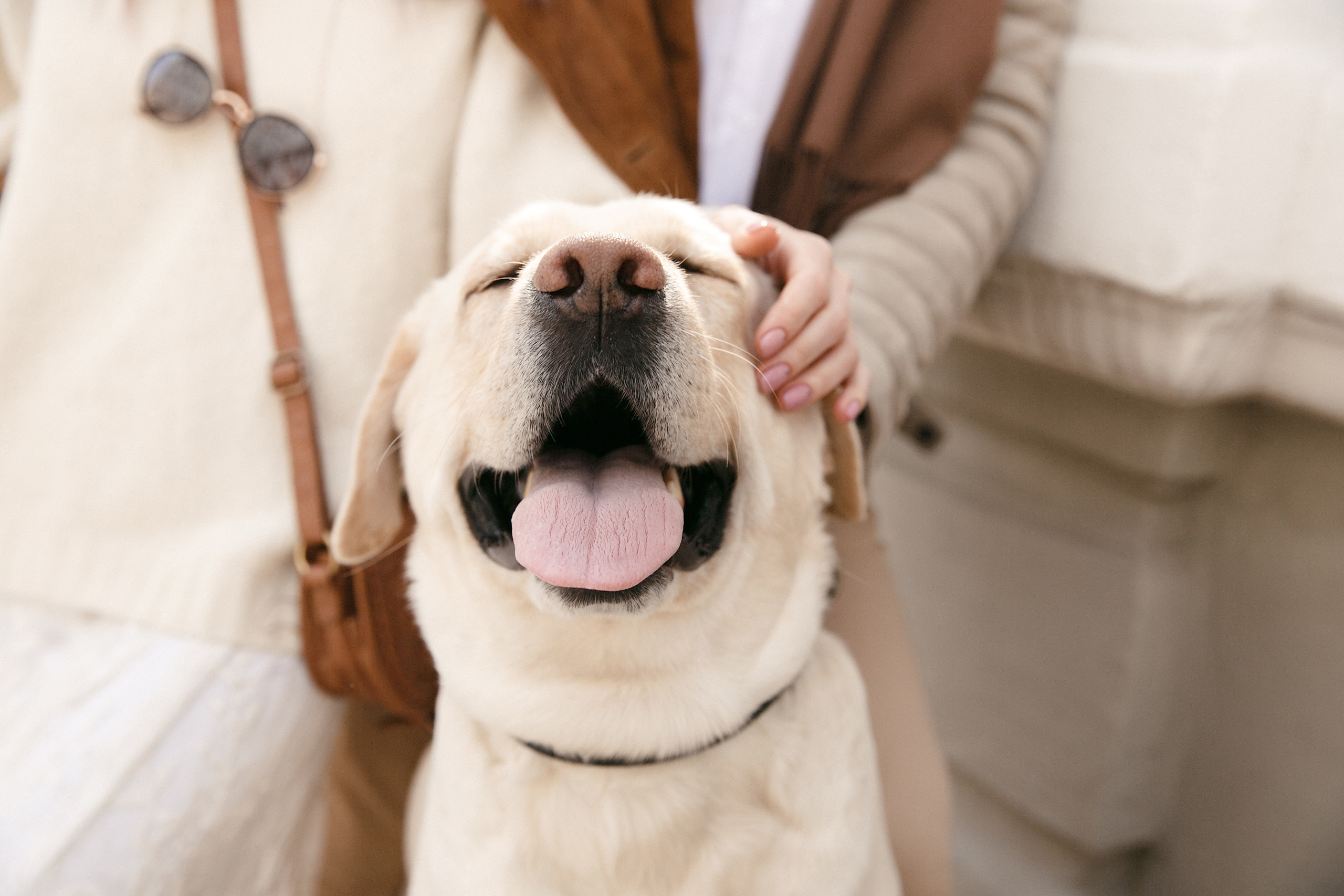 Артем и Гузель. Свадебный и семейный фотограф Казань Чебоксары Ртищева Евгения