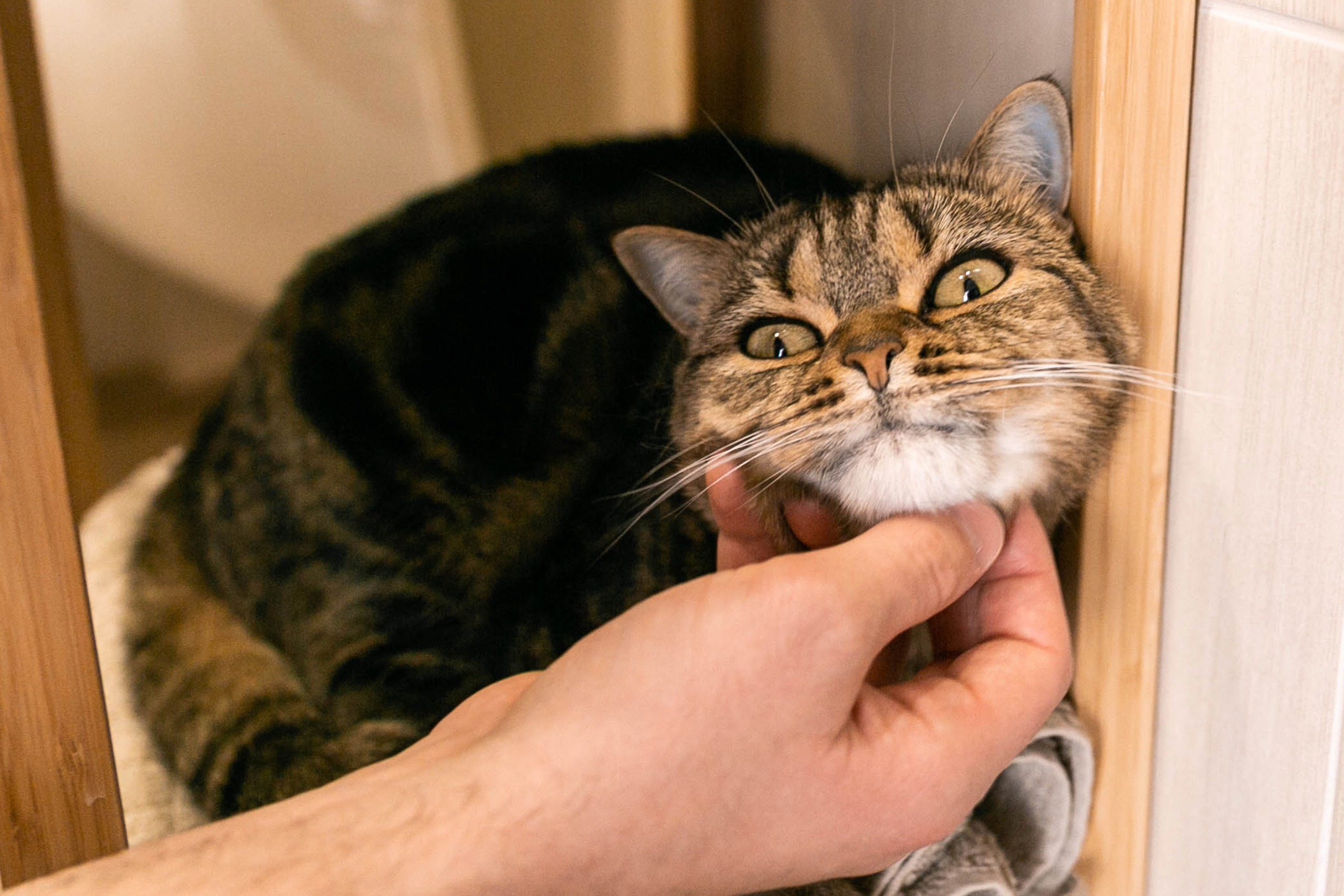 _. Свадебный и семейный фотограф Казань Чебоксары Ртищева Евгения