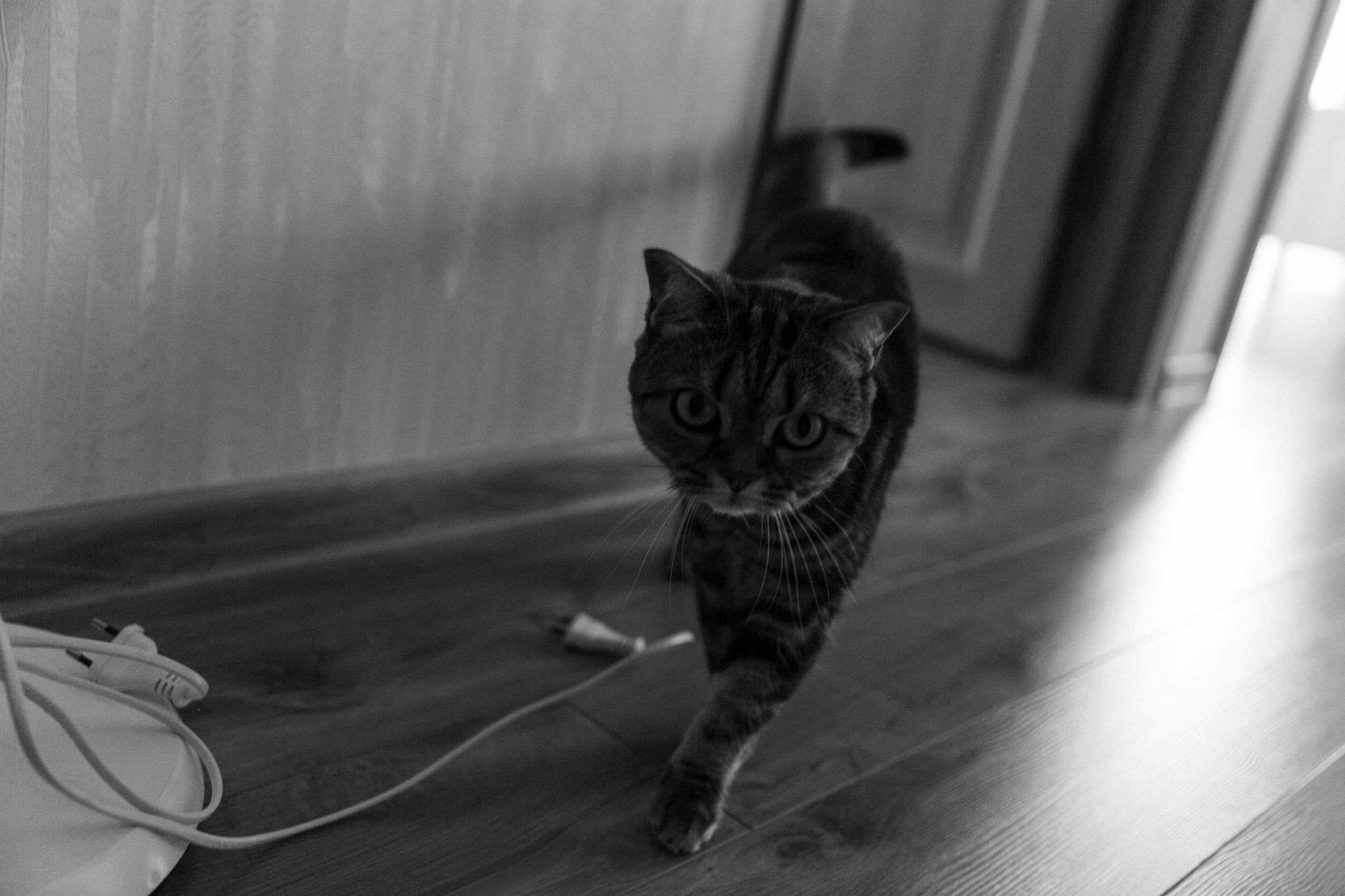 _. Свадебный и семейный фотограф Казань Чебоксары Ртищева Евгения