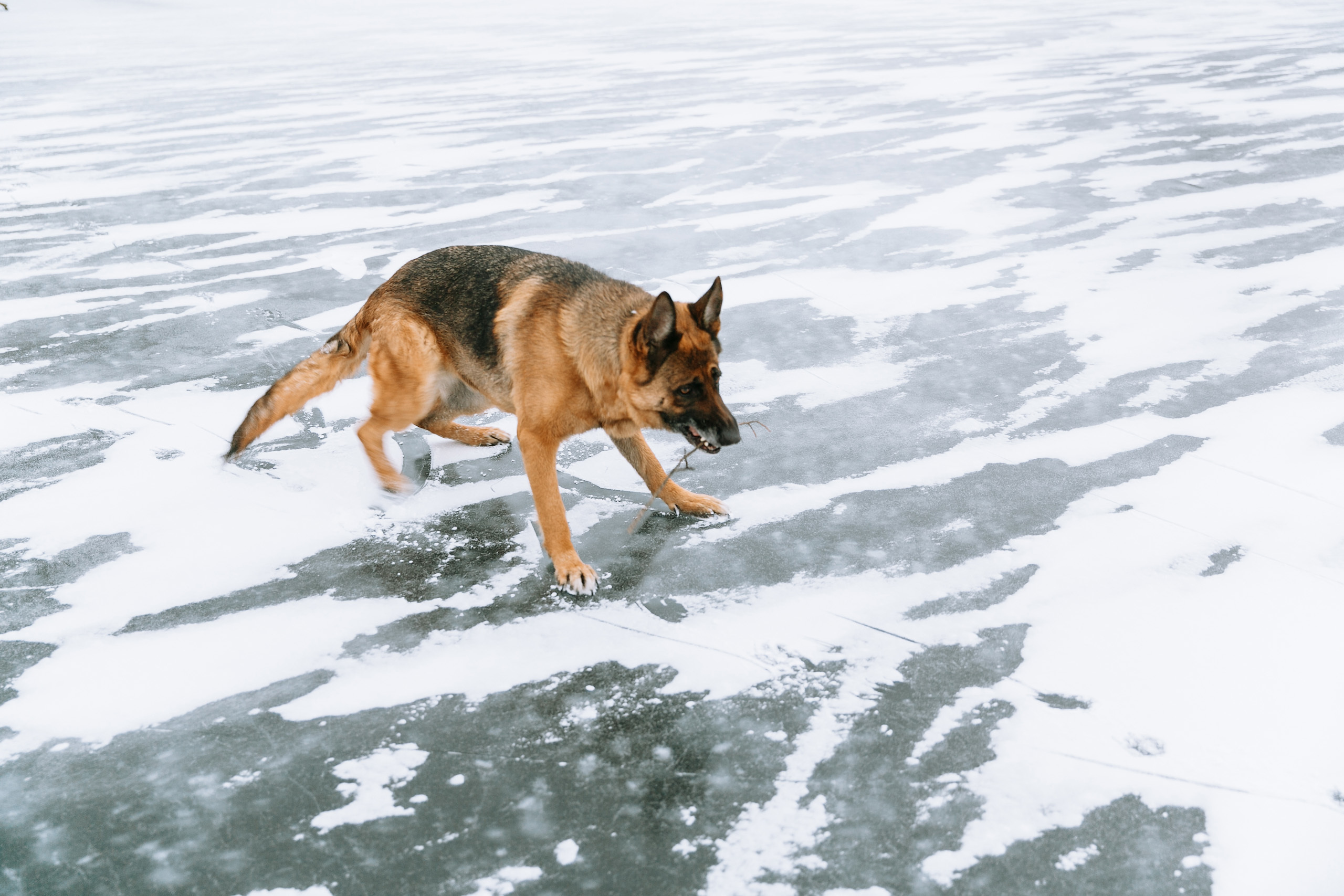 Варлам и Карина. Свадебный и семейный фотограф Казань Чебоксары Ртищева Евгения