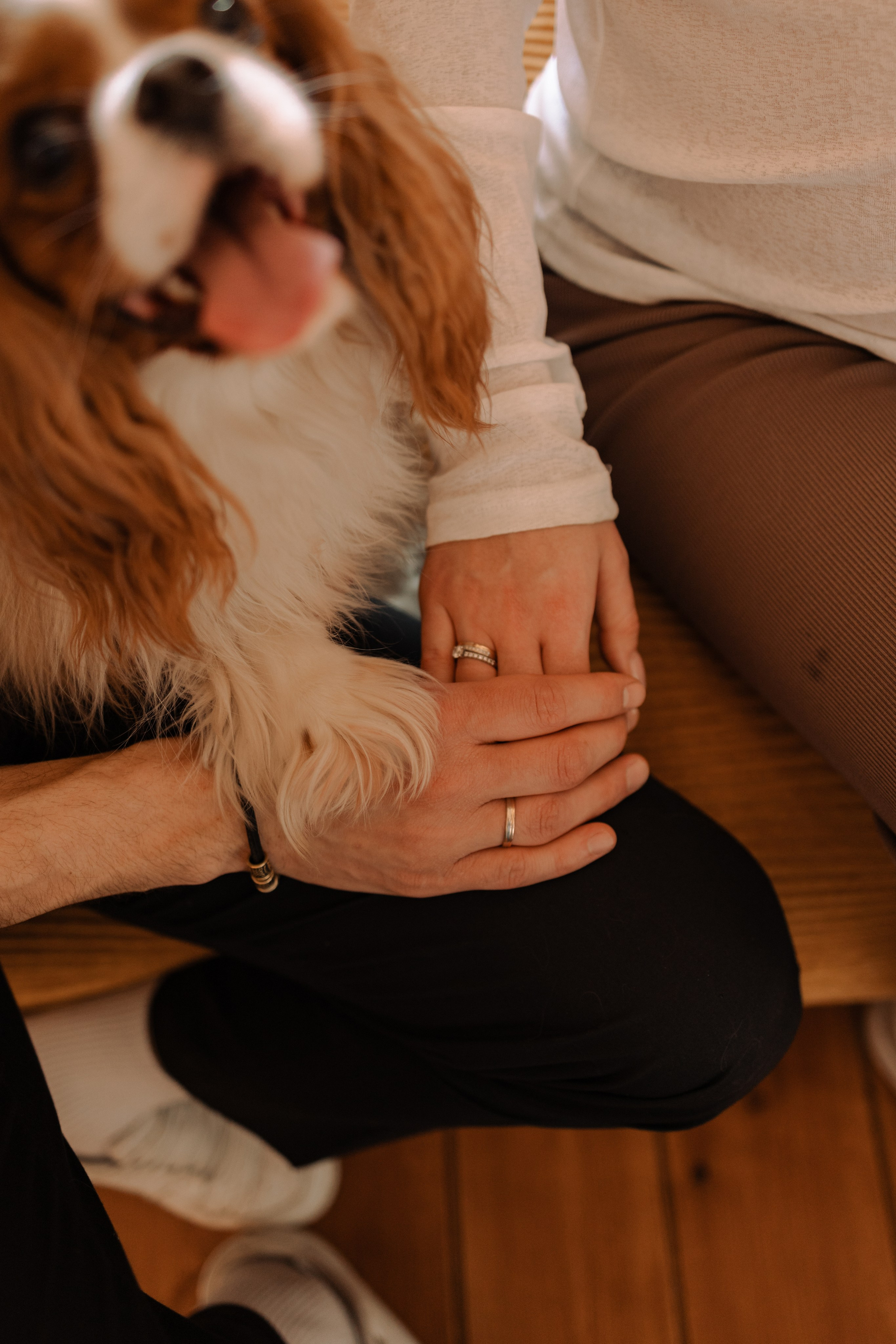 Шерри и ее семья. Фотограф — Анималист | Санкт-Петербург