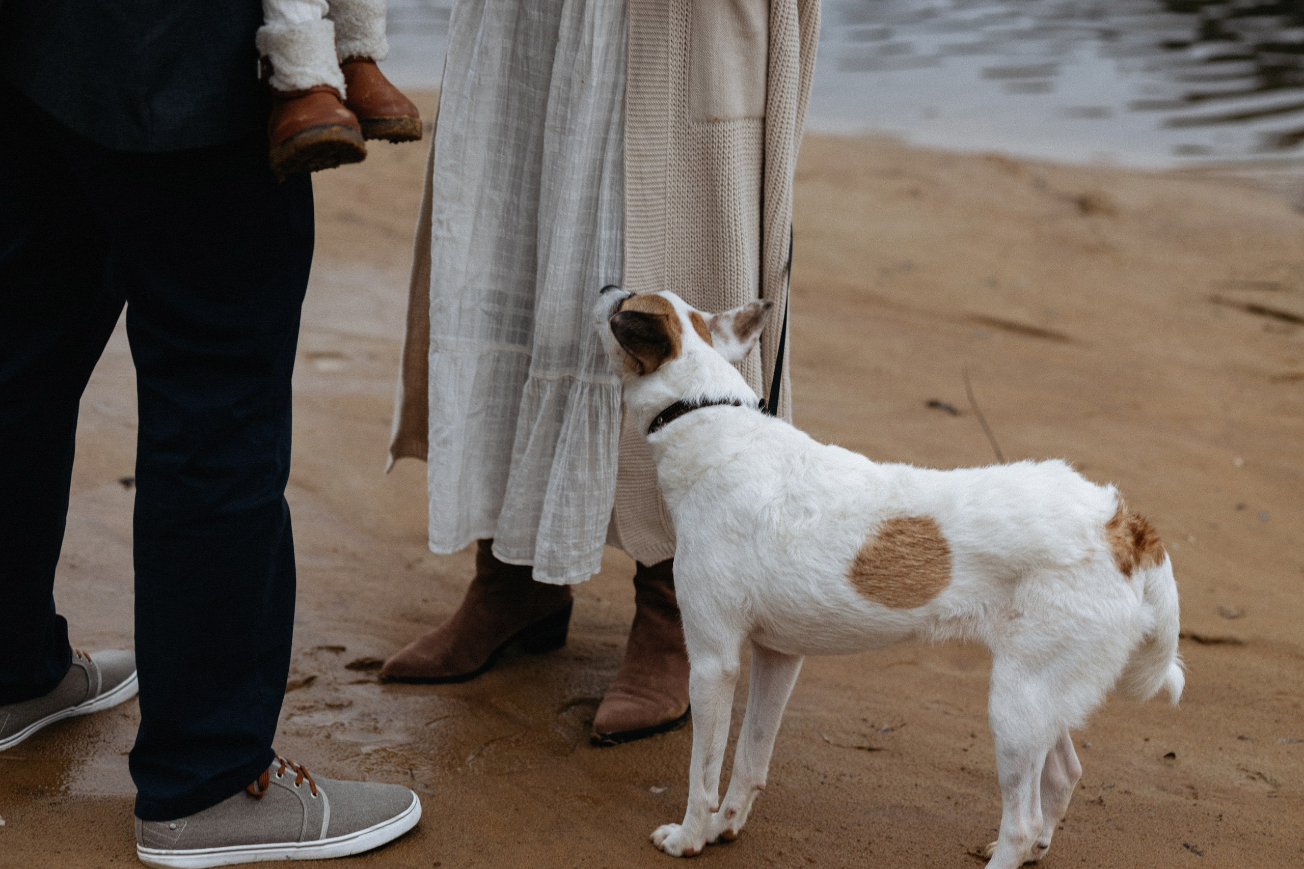 Семейная фотосессия на природе. Вера Пьянцева семейный, свадебный и парный фотограф в Санкт-Петербурге