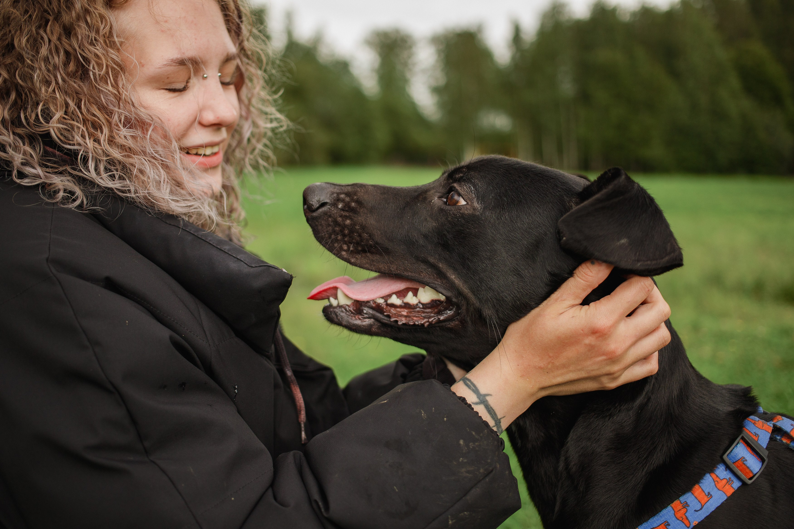 Отис ищет дом. Портретный фотограф в Санкт-Петербурге Катя Протасевич