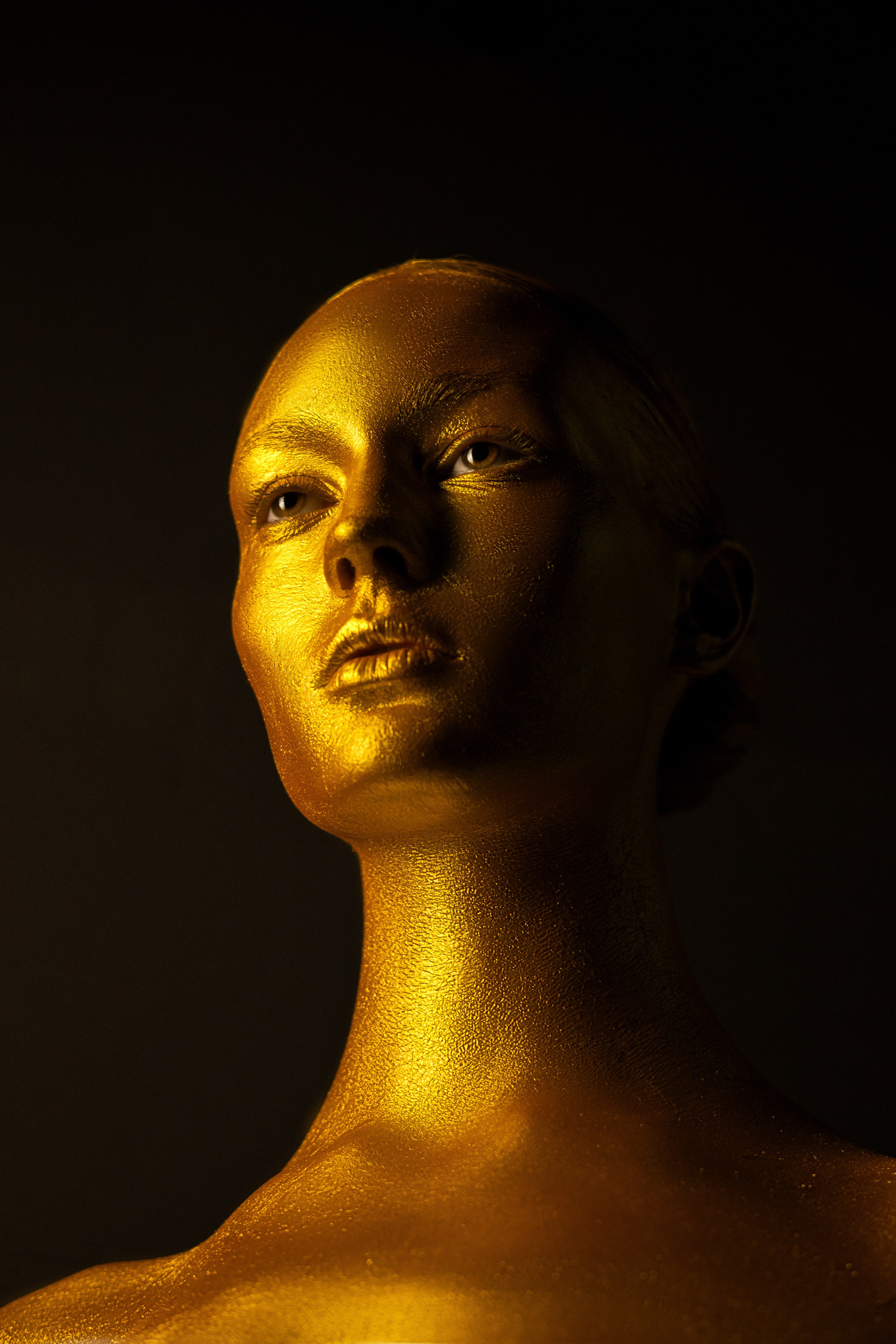 Лиза: золотая статуя. Фотограф Белов Тимофей | Красноярск