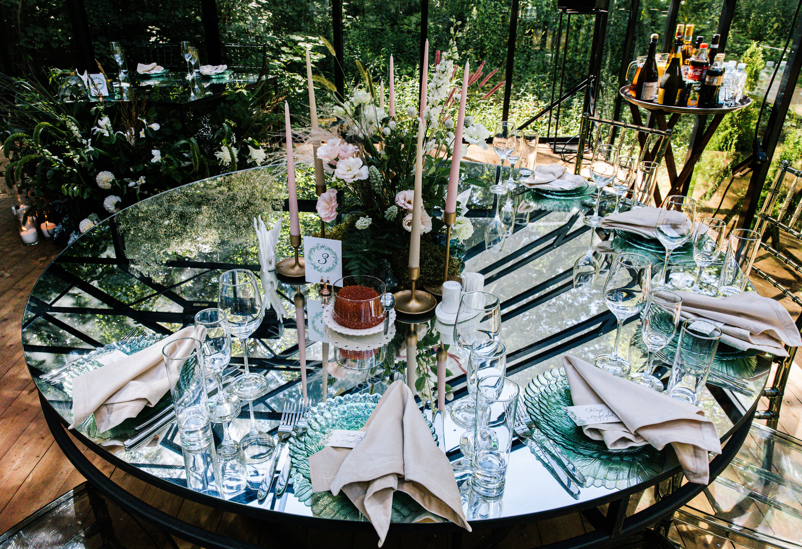 ANNA_ MICHAEL (FOREST_DEW). Фотограф Андрей Ширкалин Москва Московская обл, Коломна, Рязань