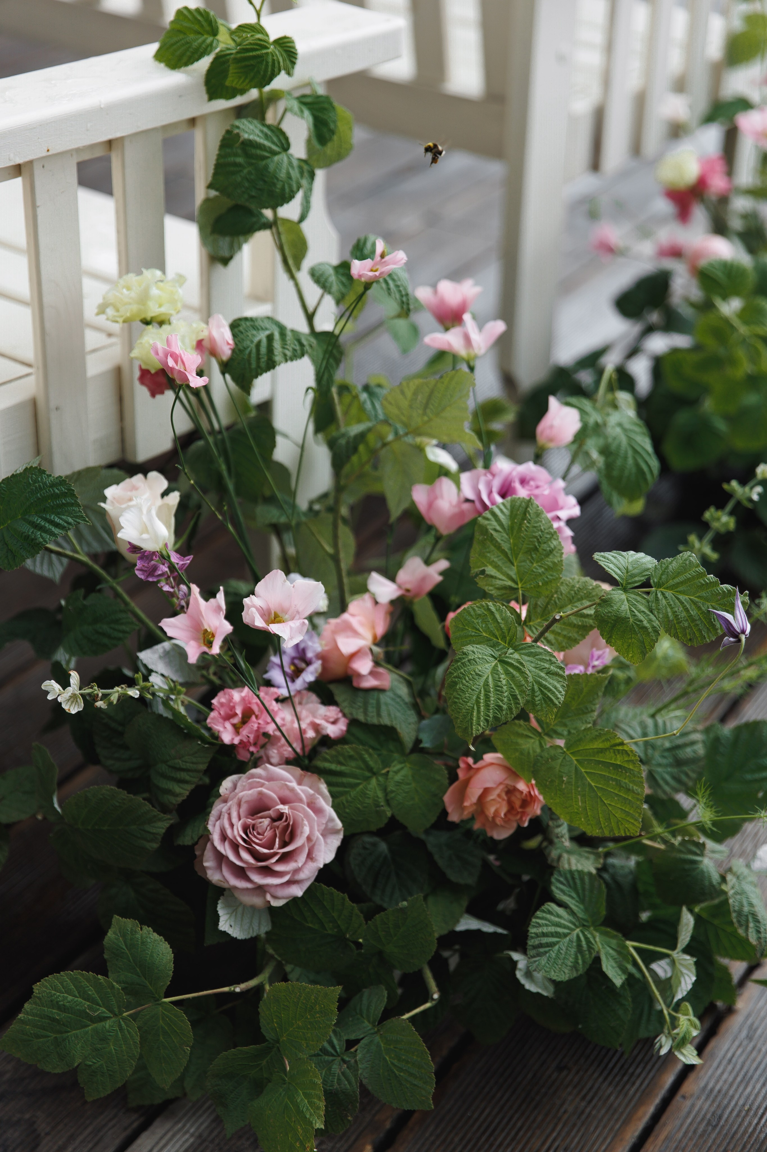 Анастасия и Максим. Свадебный фотограф в Санкт-Петербурге, Москве, Европе и по всему миру