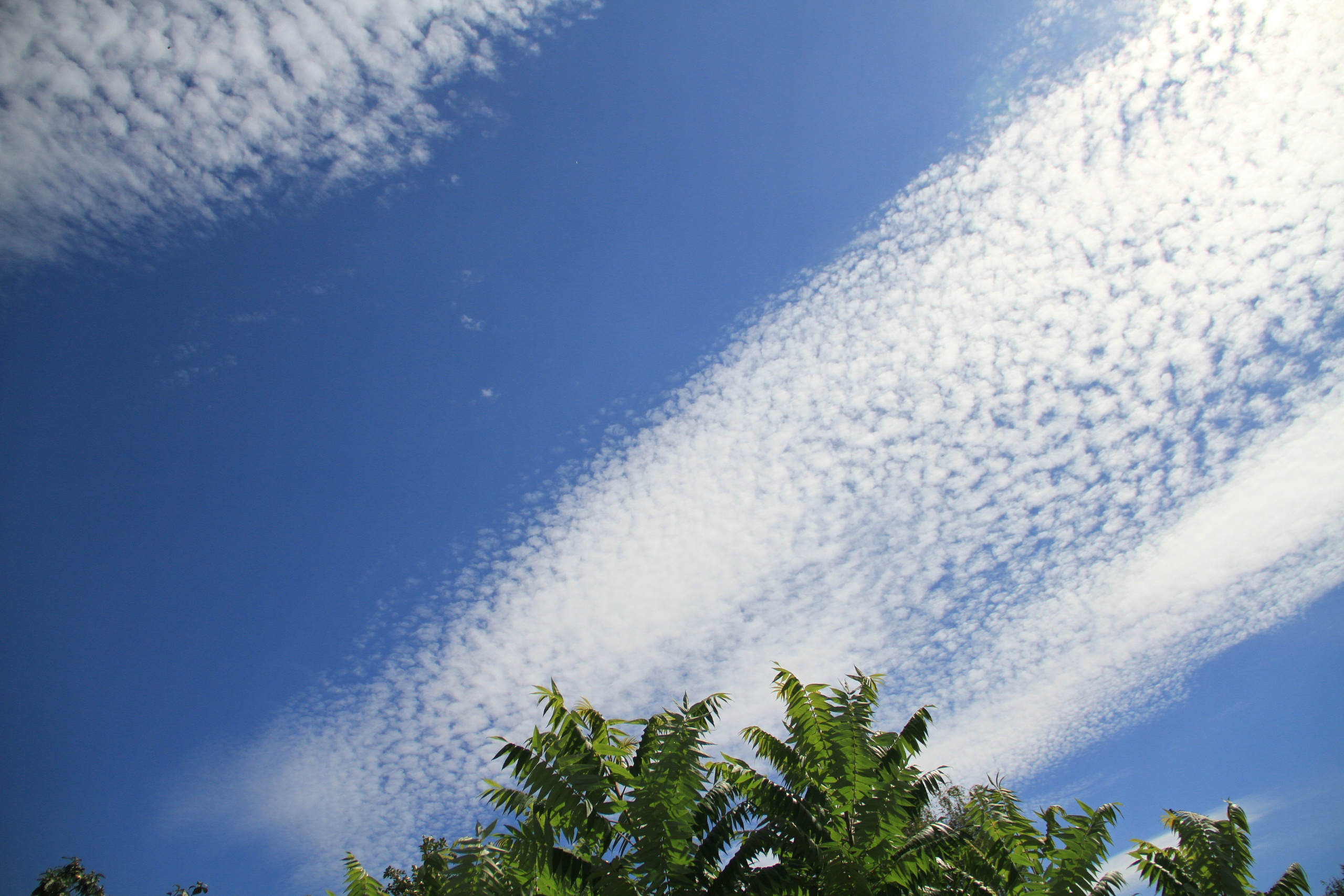 ✓ Природные красоты. Фотограф Юрий Якименко. Школьный, семейный и свадебный фотограф в Гоме