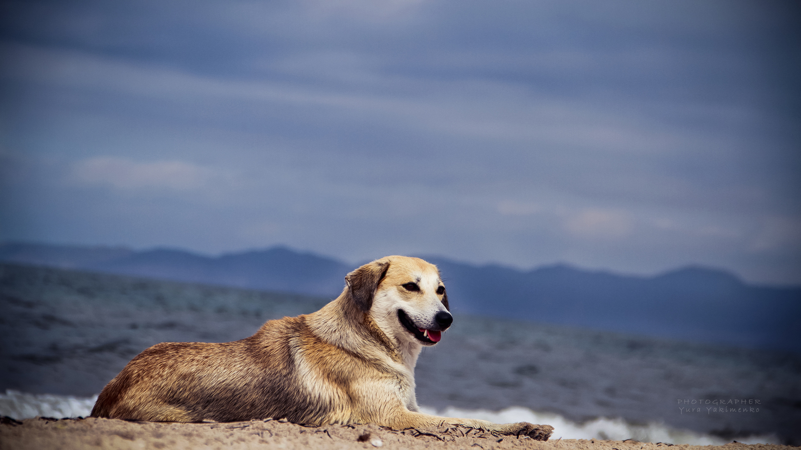 ✓ Природные красоты. Фотограф Юрий Якименко. Школьный, семейный и свадебный фотограф в Гоме