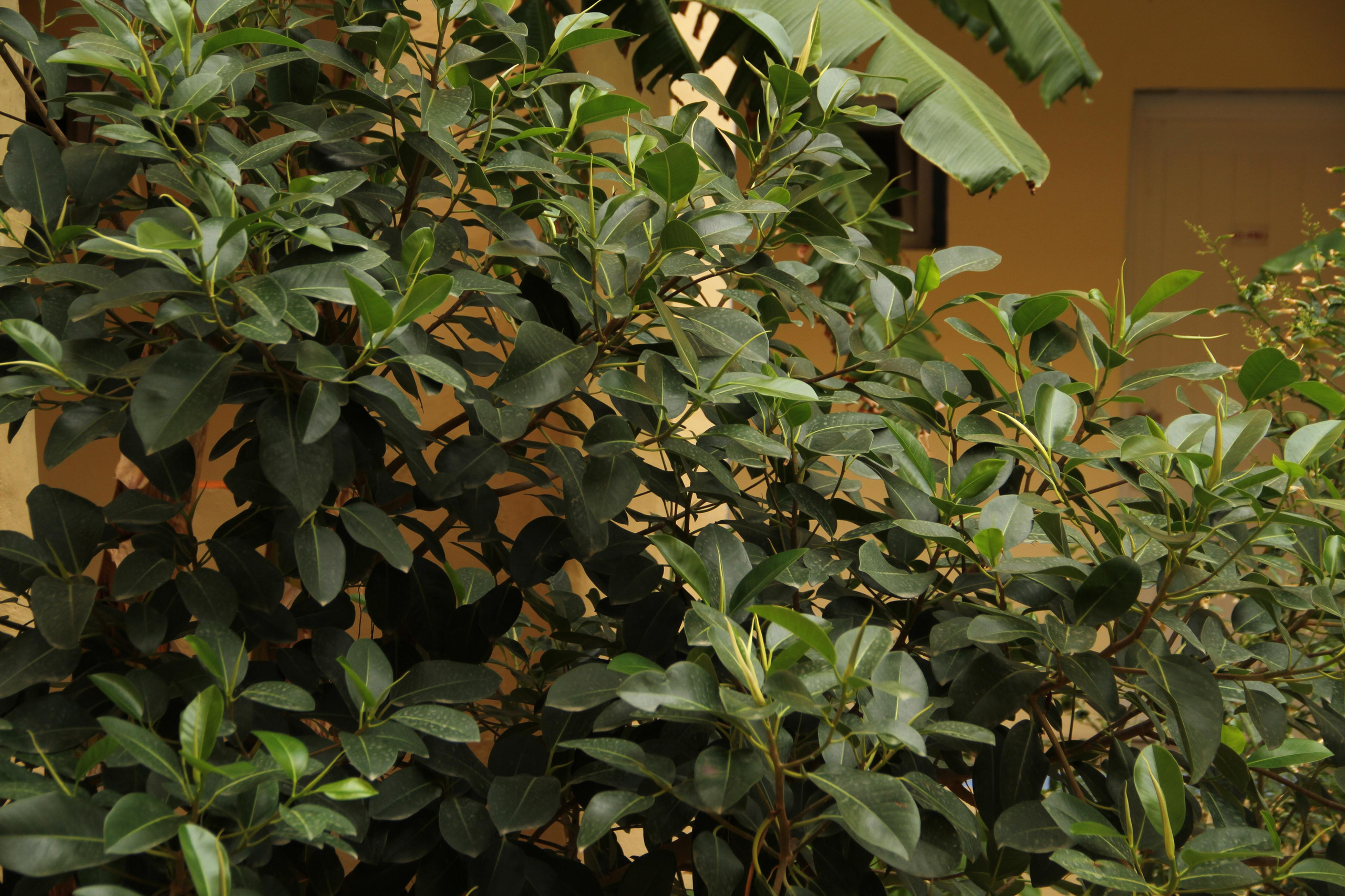 ✓ Природные красоты. Фотограф Юрий Якименко. Школьный, семейный и свадебный фотограф в Гоме