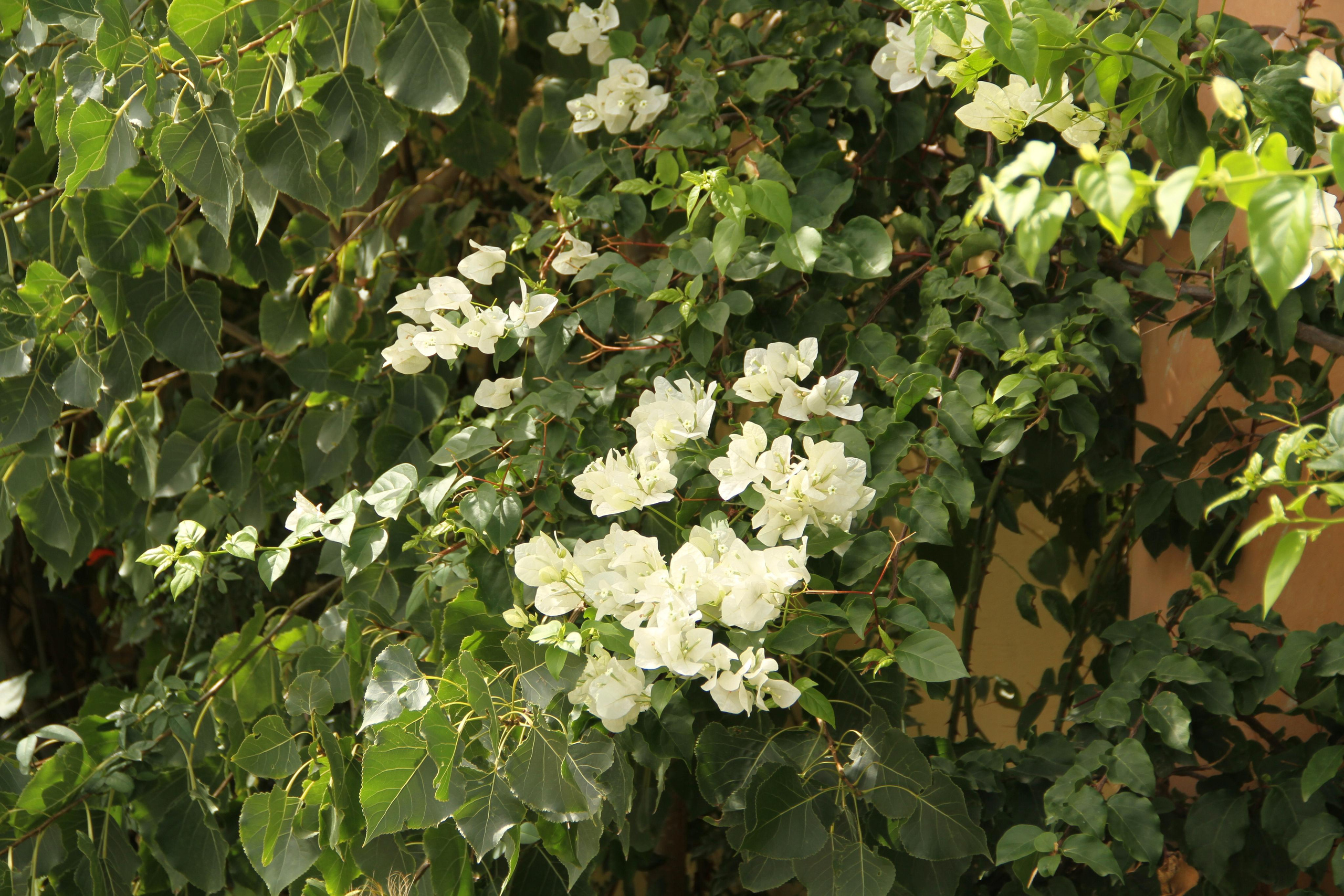 ✓ Природные красоты. Фотограф Юрий Якименко. Школьный, семейный и свадебный фотограф в Гоме