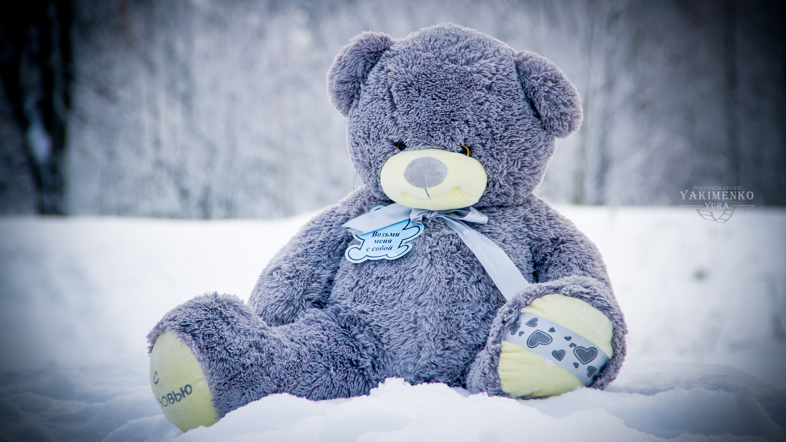 ✓ Природные красоты. Фотограф Юрий Якименко. Школьный, семейный и свадебный фотограф в Гоме