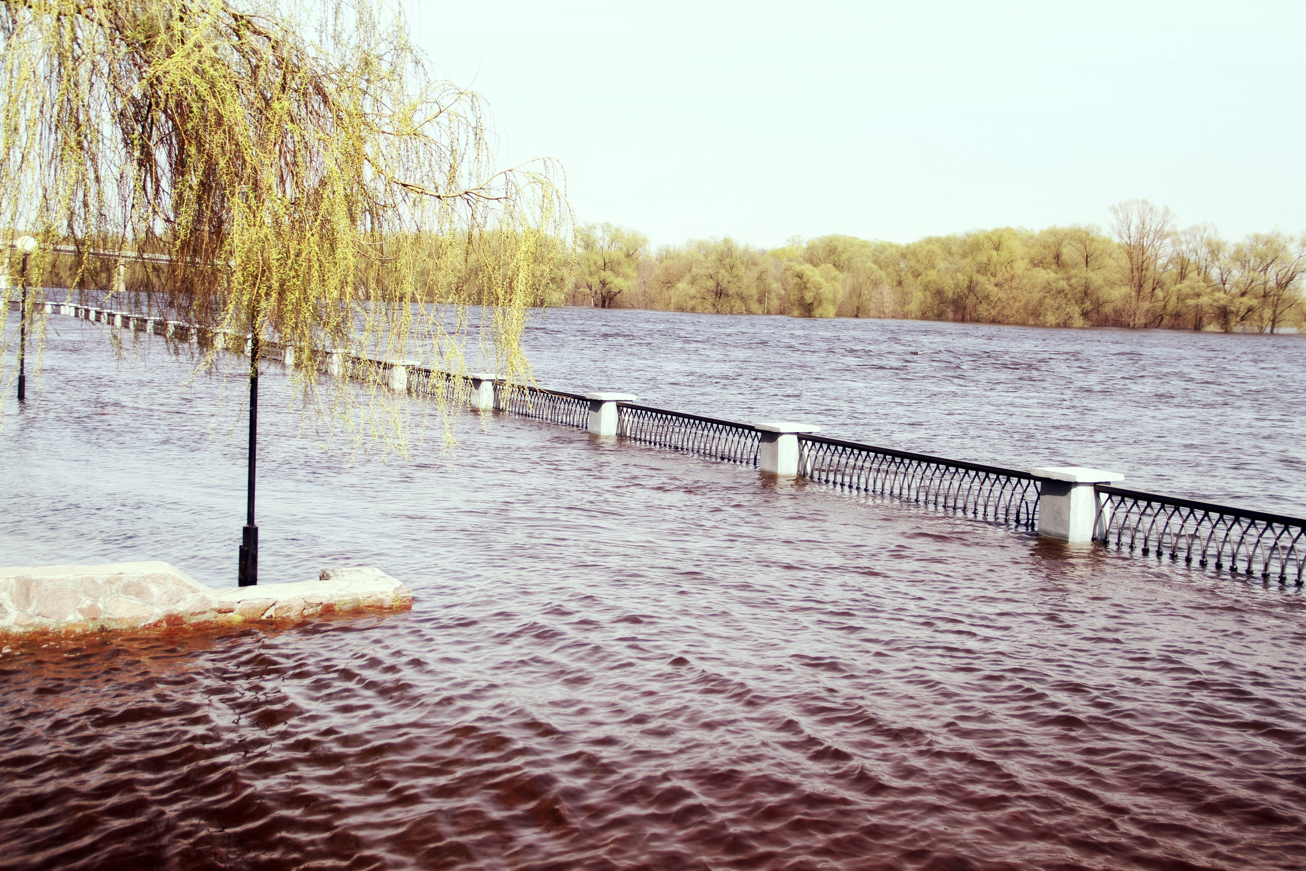 ✓ Природные красоты. Фотограф Юрий Якименко. Школьный, семейный и свадебный фотограф в Гоме