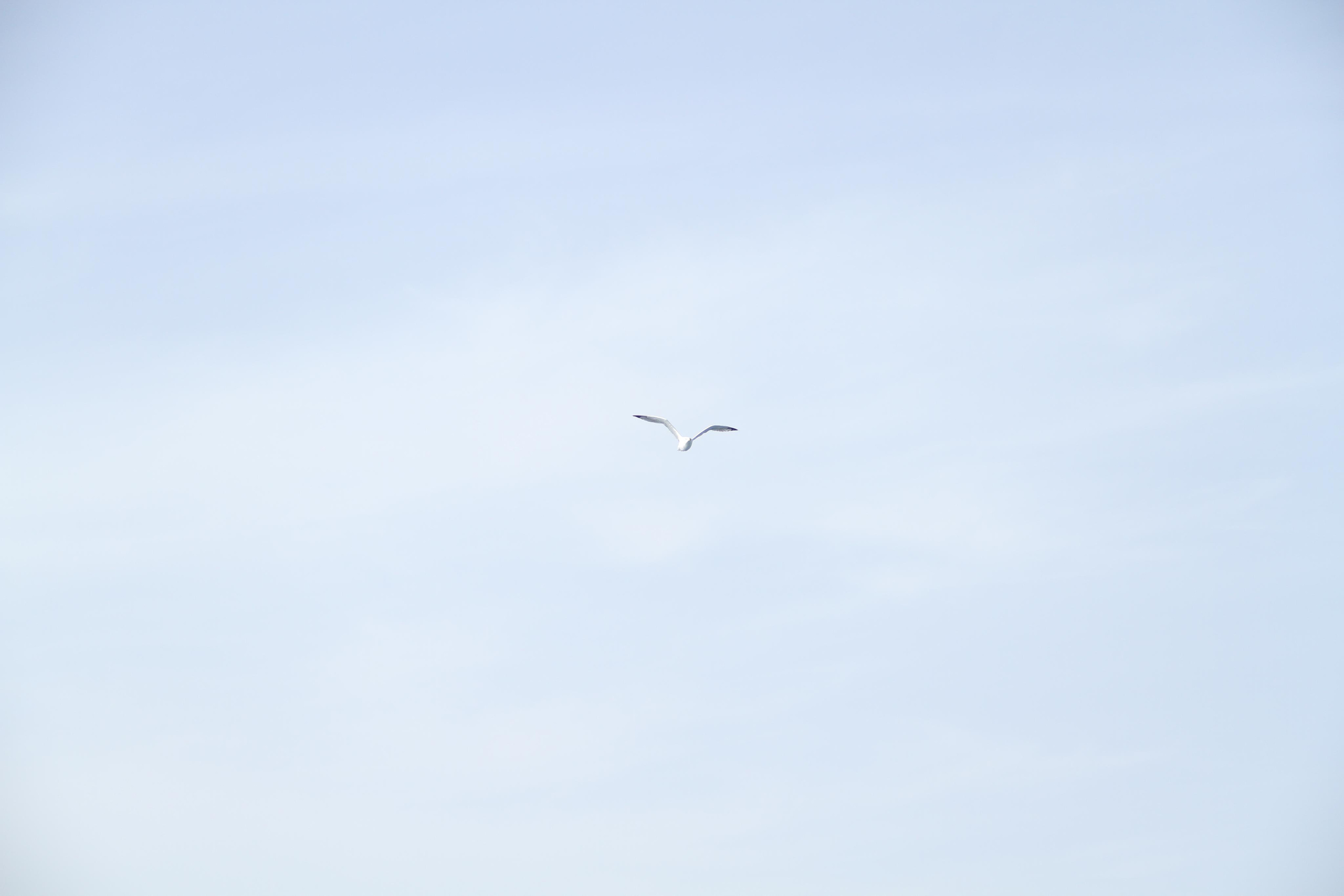 ✓ Природные красоты. Фотограф Юрий Якименко. Школьный, семейный и свадебный фотограф в Гоме