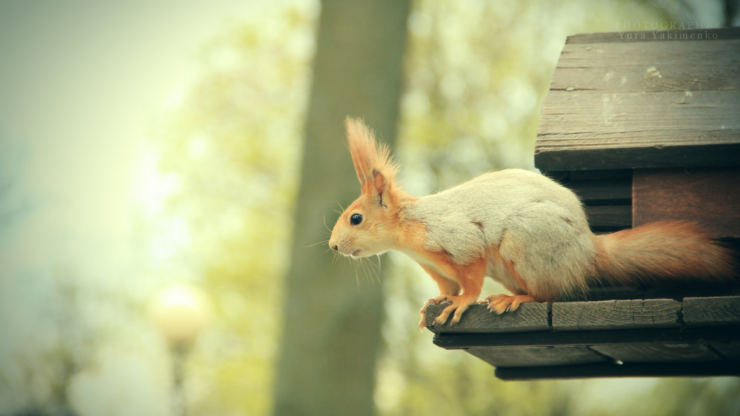 ✓ Природные красоты. Фотограф Юрий Якименко. Школьный, семейный и свадебный фотограф в Гоме